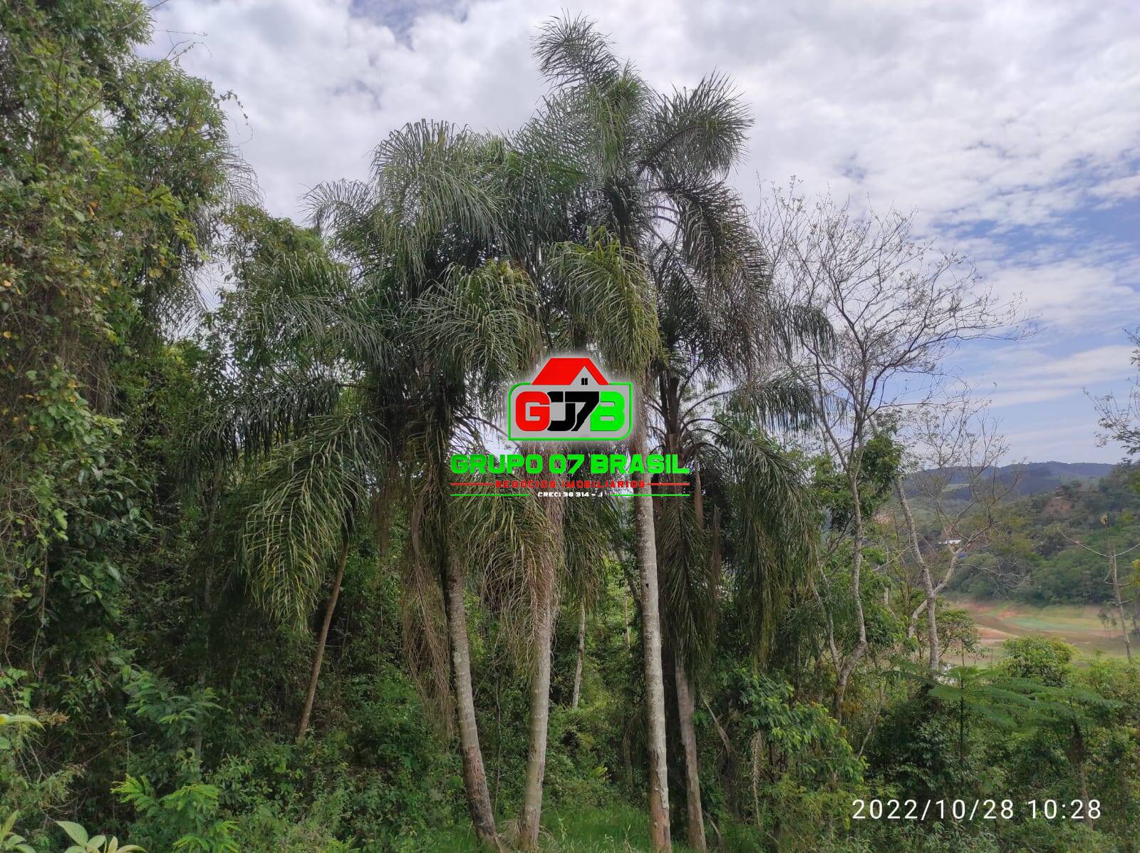 Terreno, 4 hectares - Foto 24