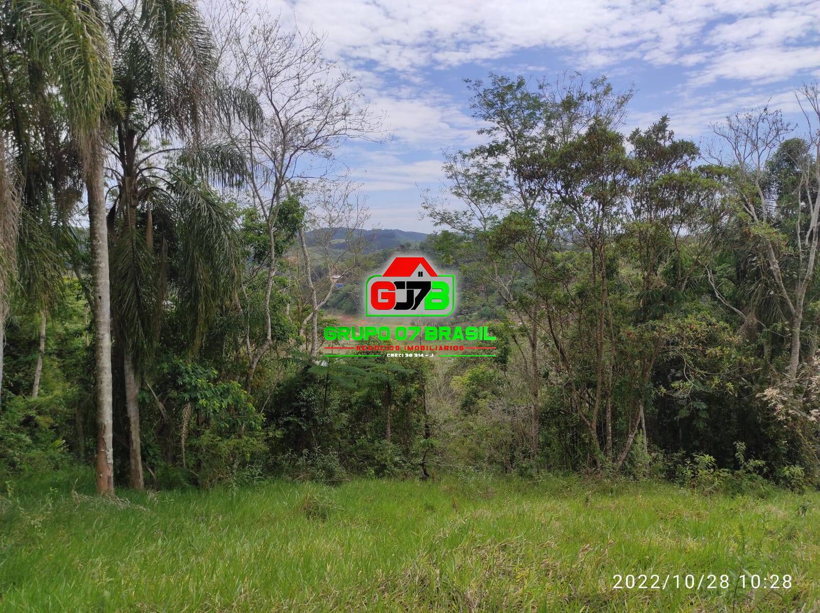 Terreno, 4 hectares - Foto 25
