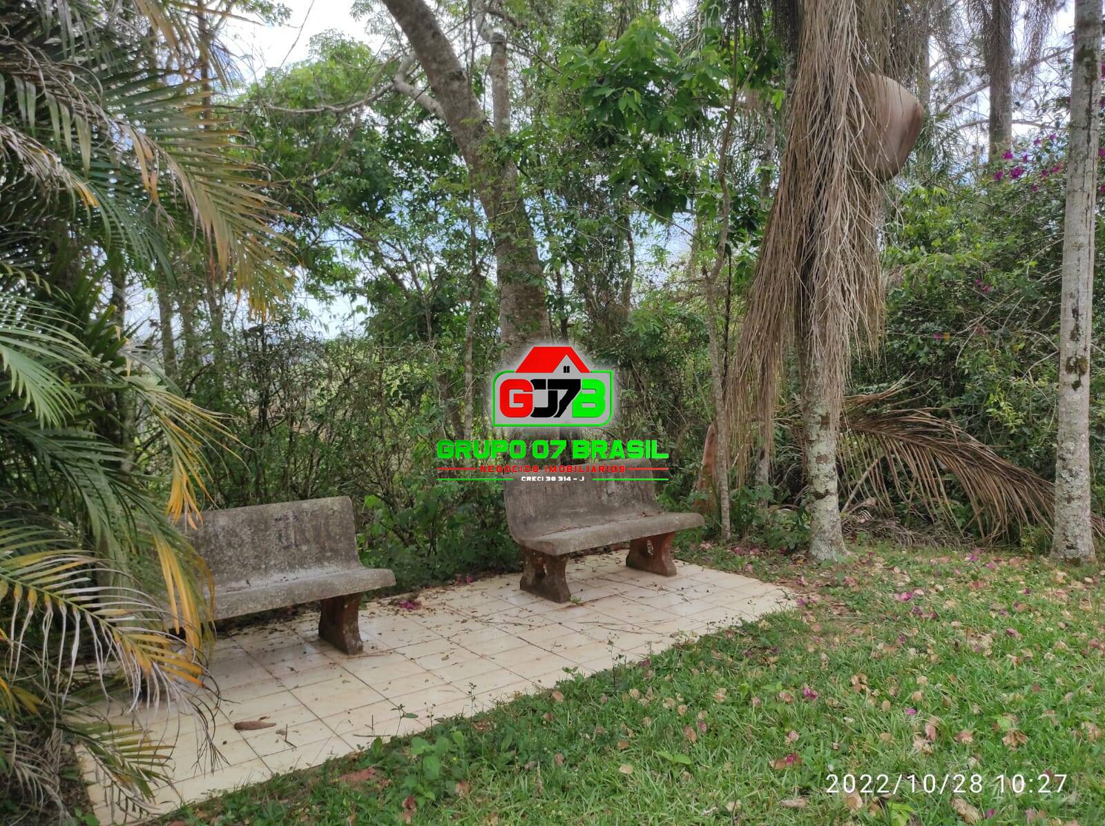 Terreno, 4 hectares - Foto 9