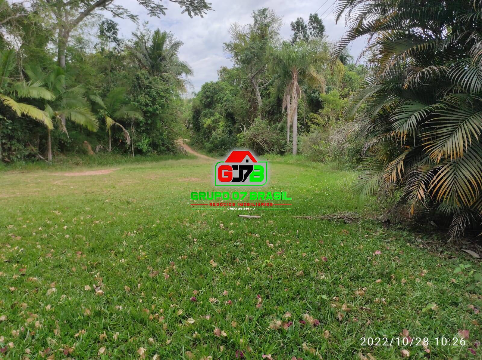 Terreno, 4 hectares - Foto 10