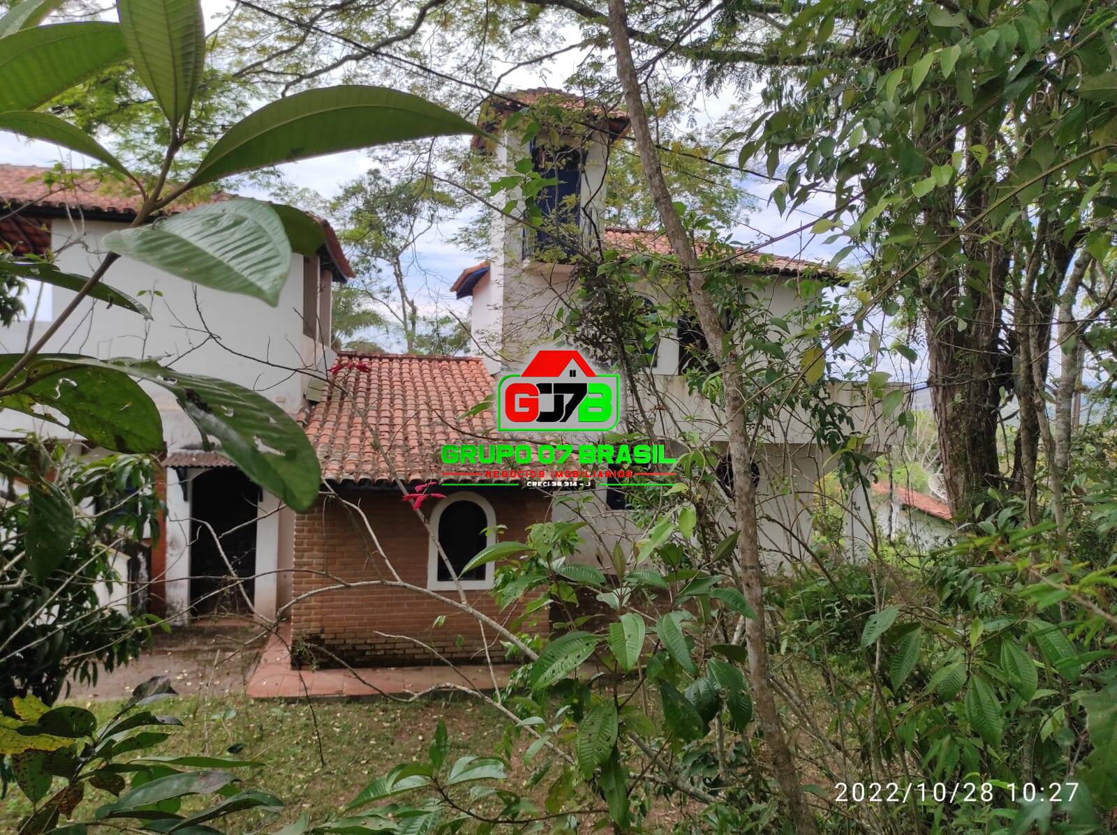 Terreno, 4 hectares - Foto 7