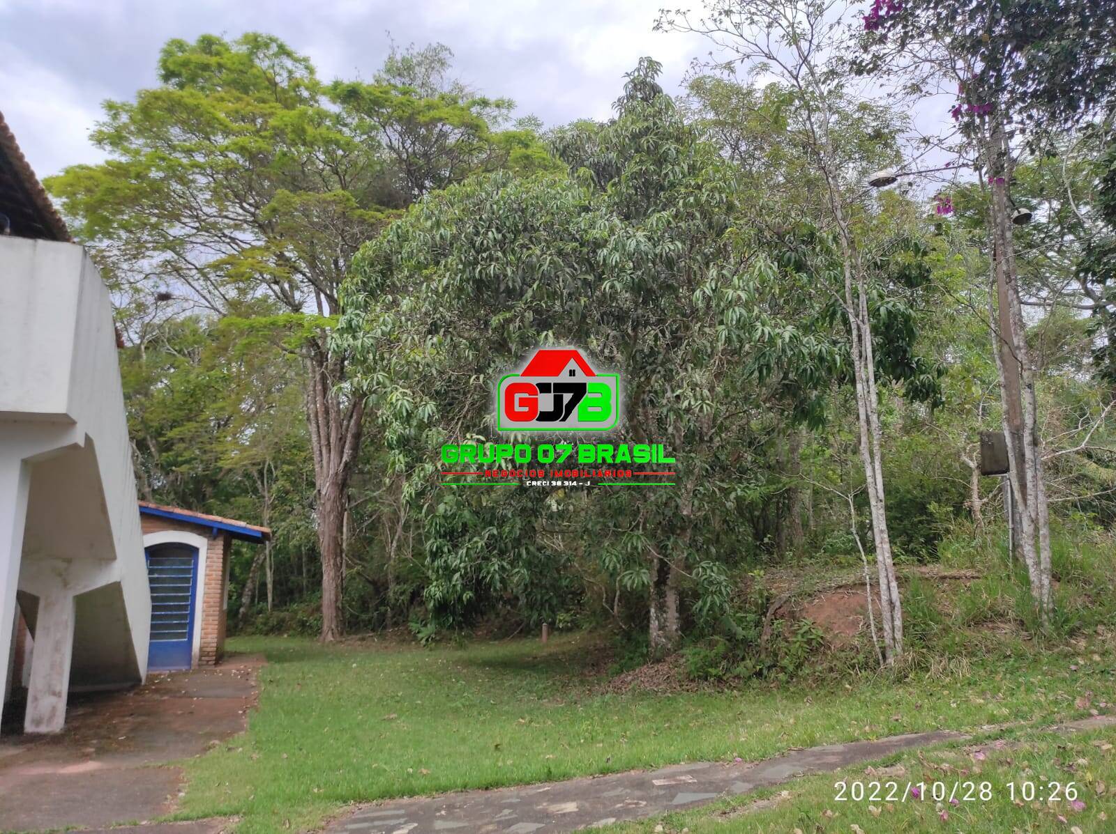 Terreno, 4 hectares - Foto 8