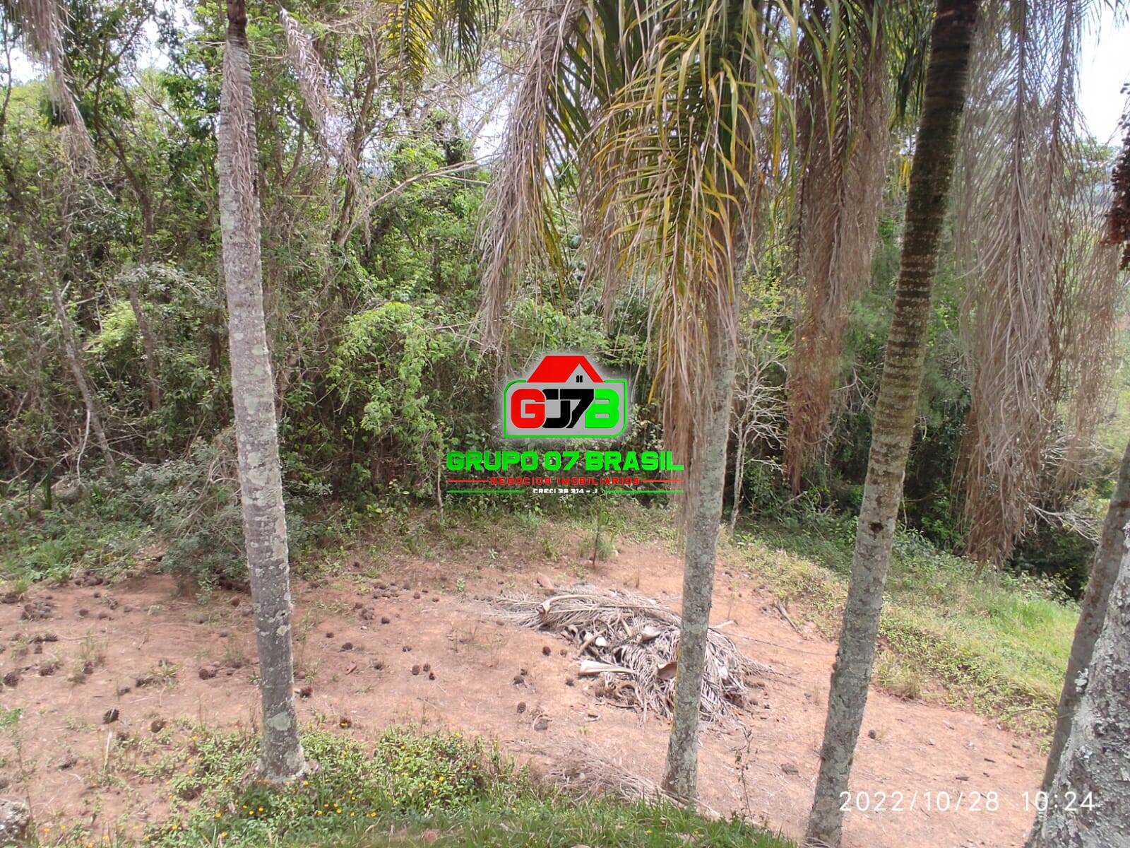 Terreno, 4 hectares - Foto 28