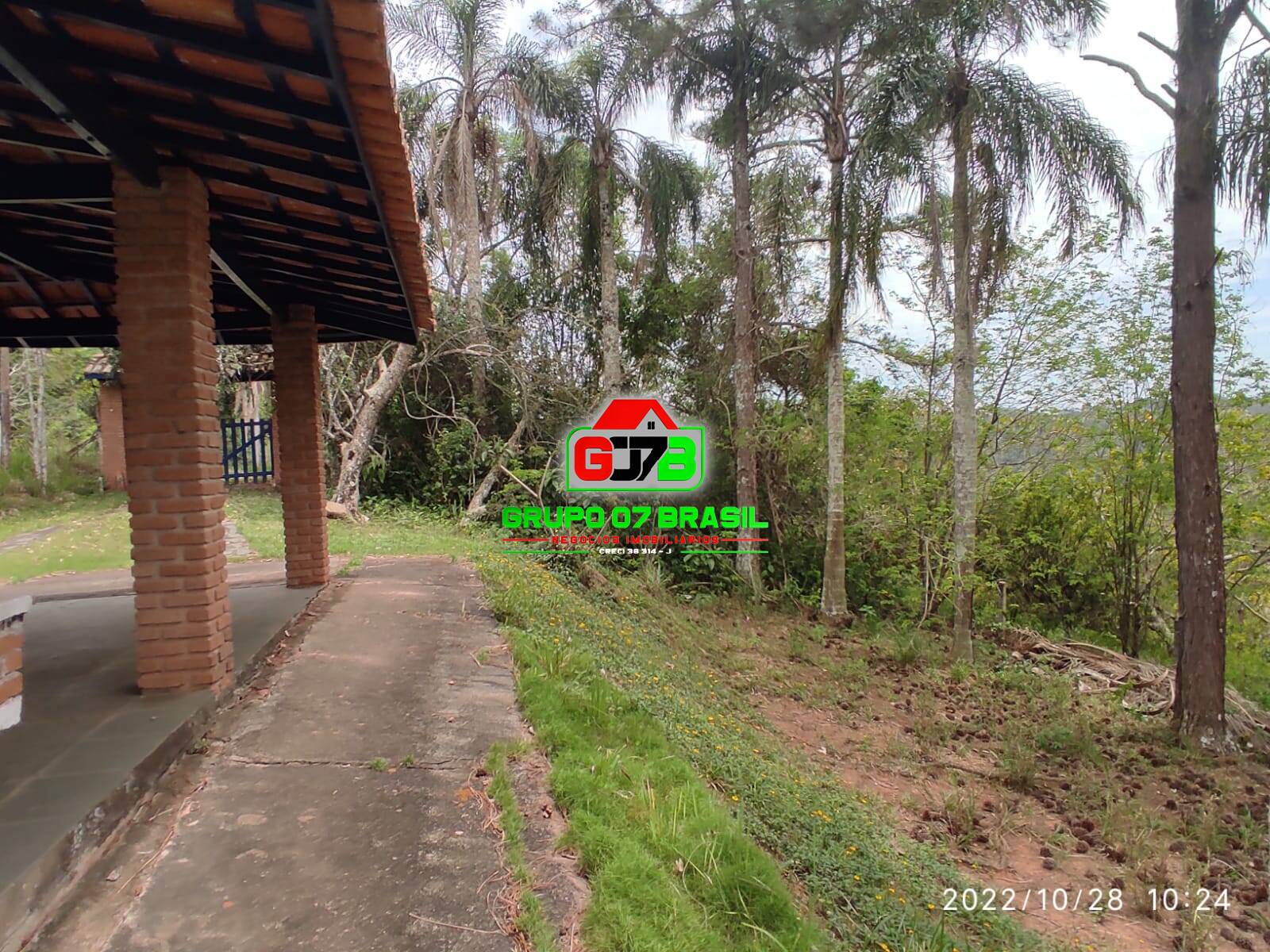 Terreno, 4 hectares - Foto 4