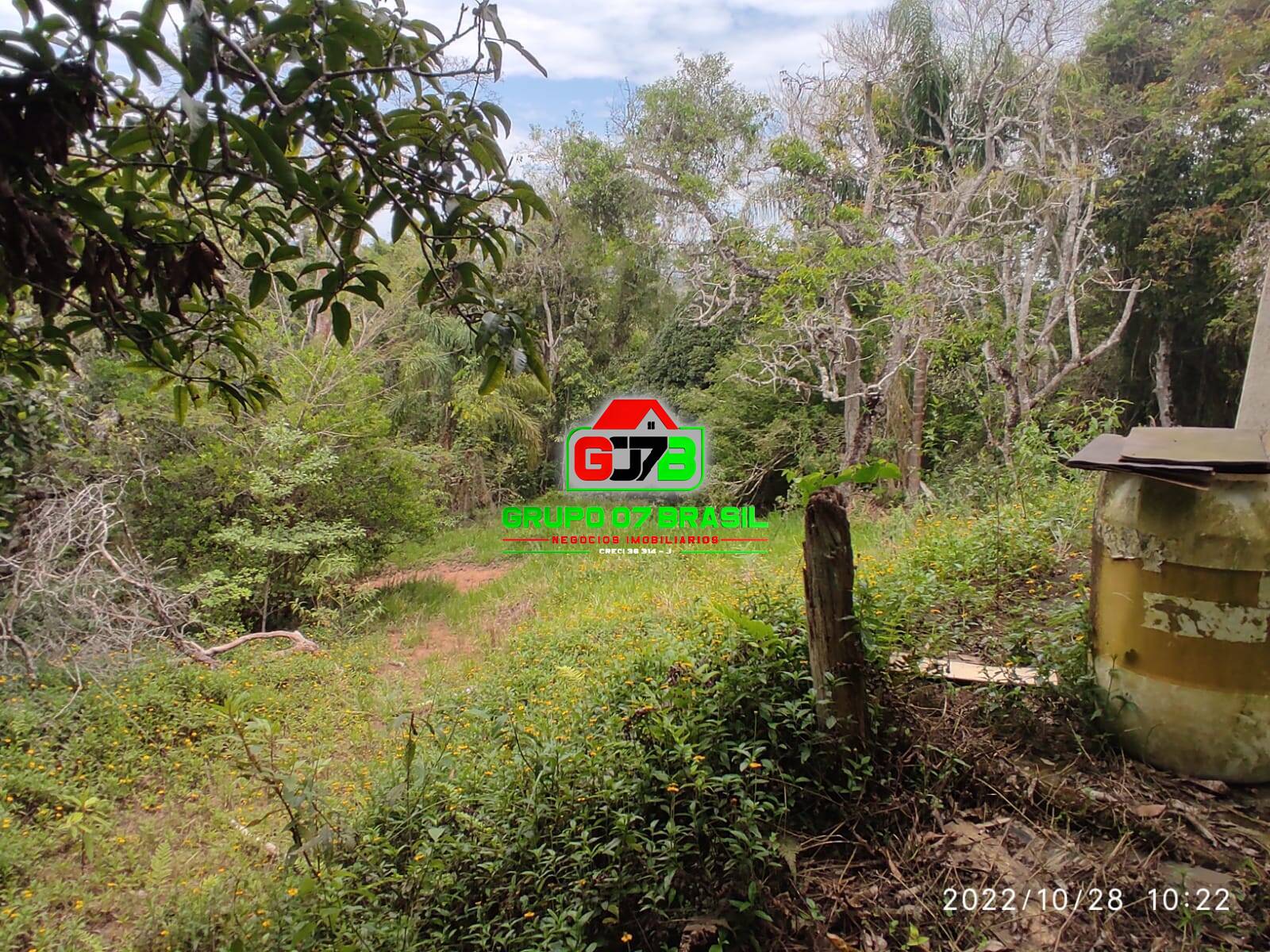 Terreno, 4 hectares - Foto 29