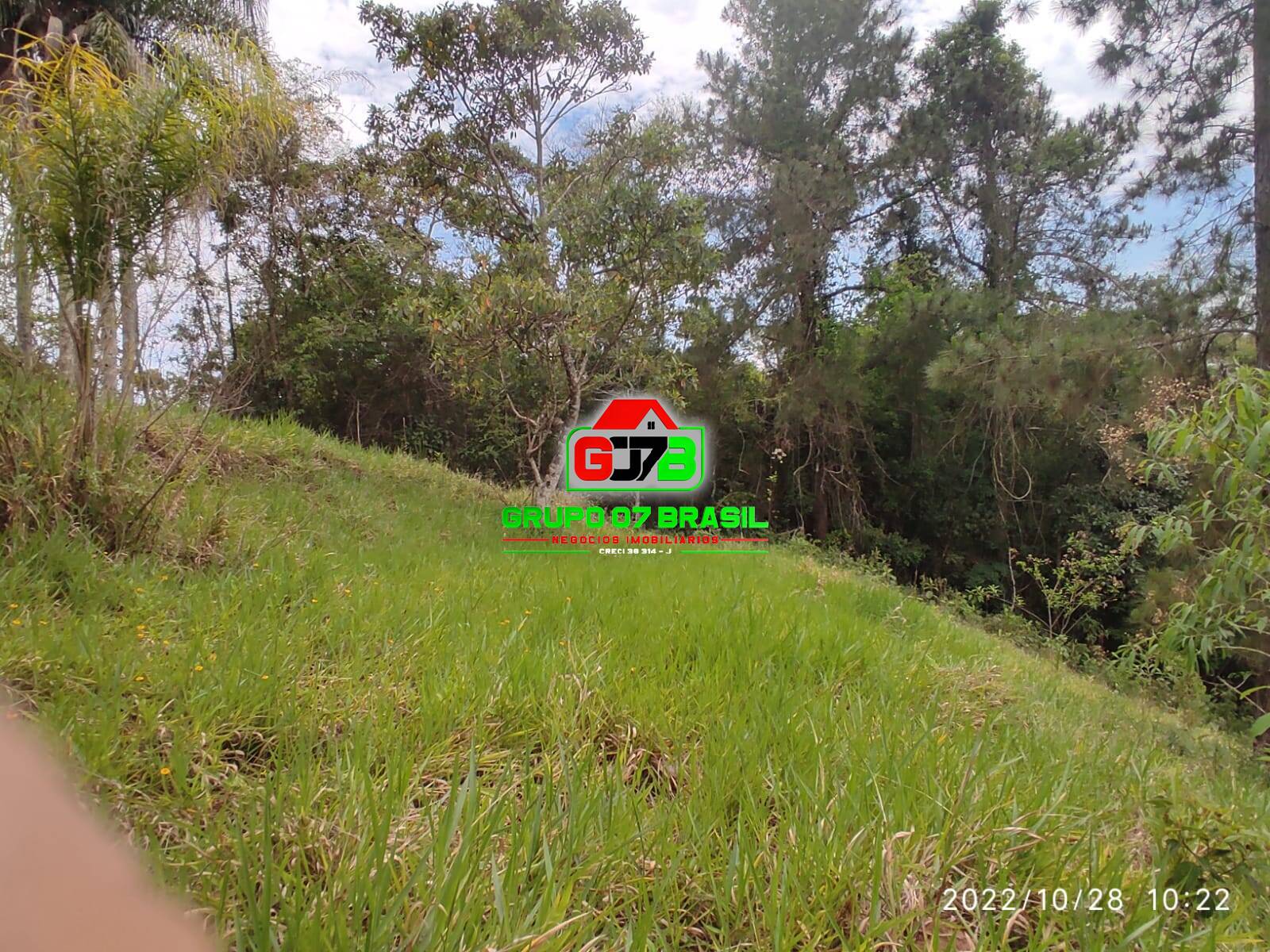 Terreno, 4 hectares - Foto 31