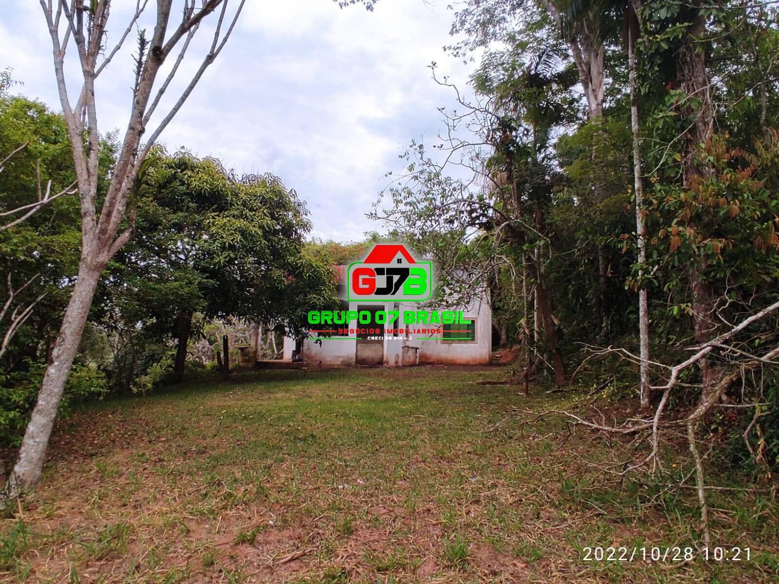 Terreno, 4 hectares - Foto 20