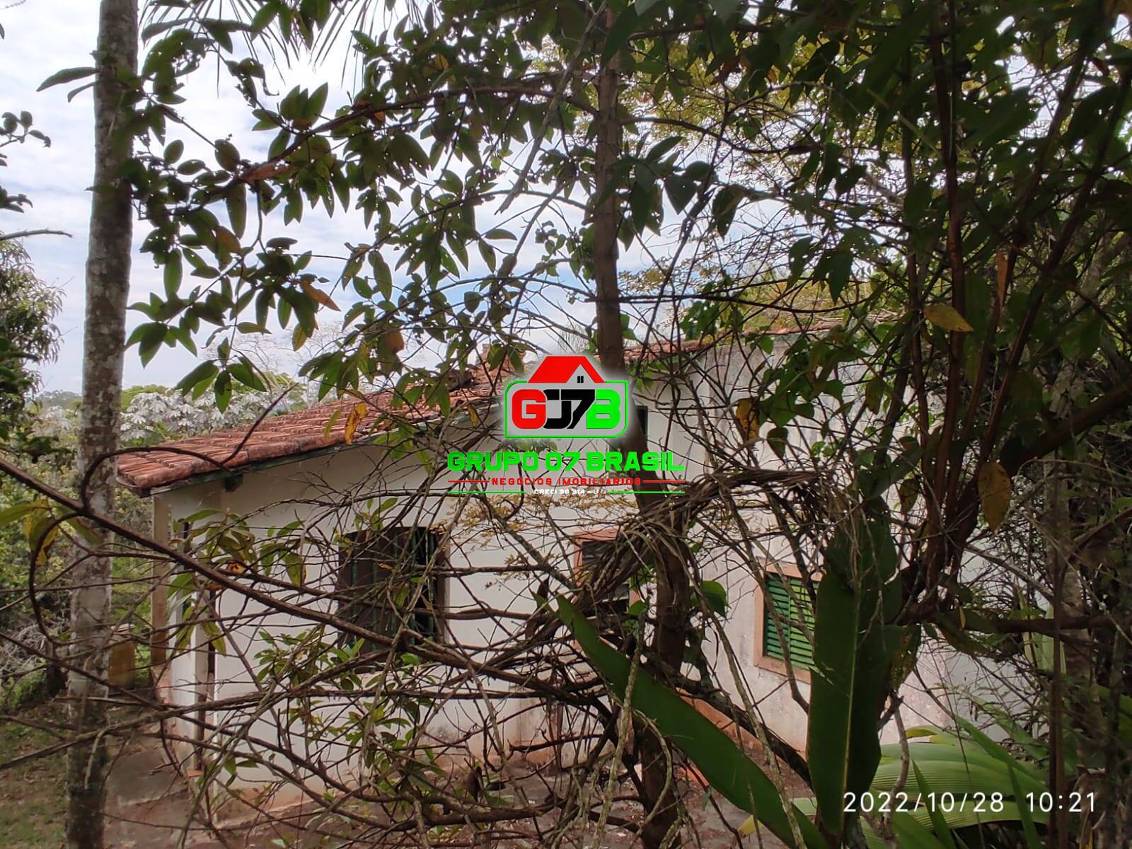 Terreno, 4 hectares - Foto 22