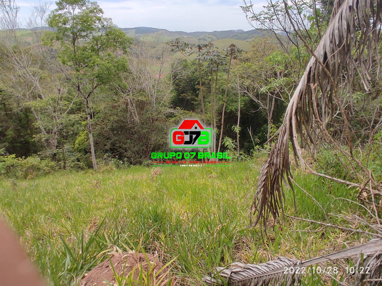 Terreno, 4 hectares - Foto 32