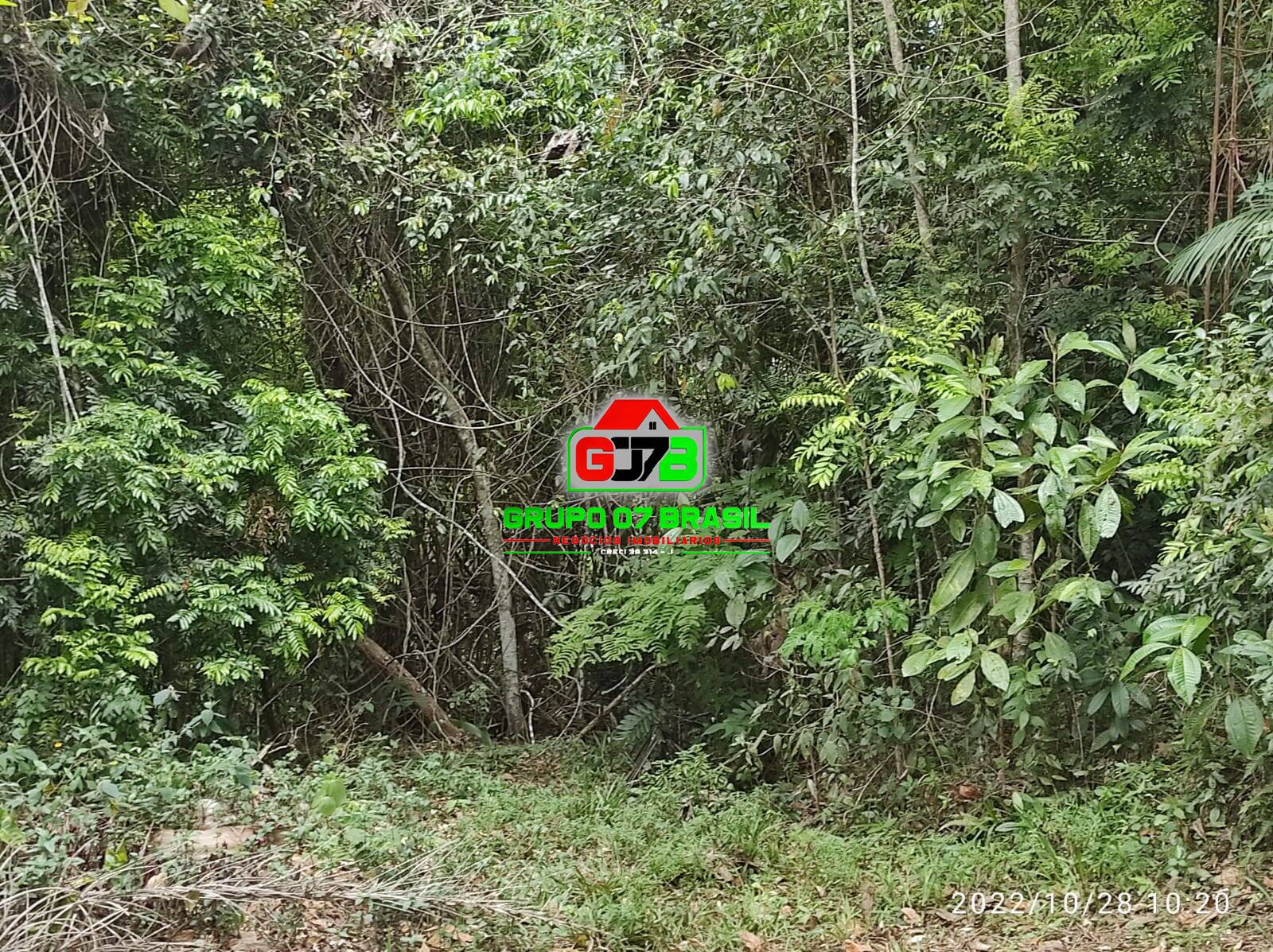 Terreno, 4 hectares - Foto 33