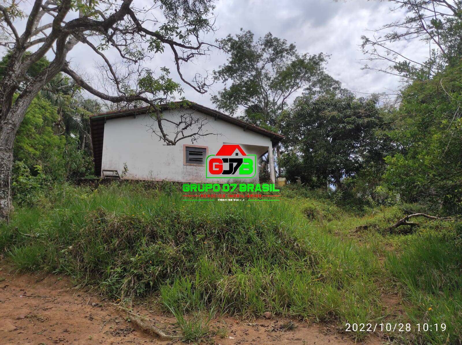 Terreno, 4 hectares - Foto 23