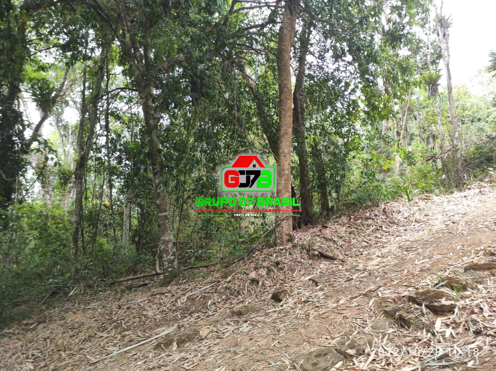 Terreno, 4 hectares - Foto 34