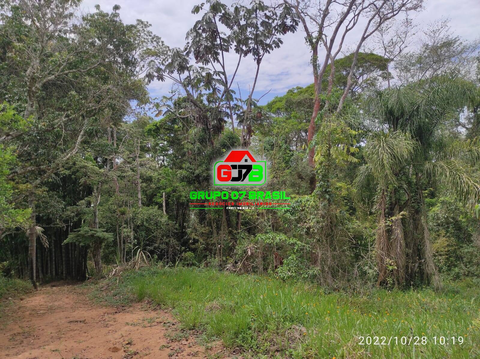 Terreno, 4 hectares - Foto 35