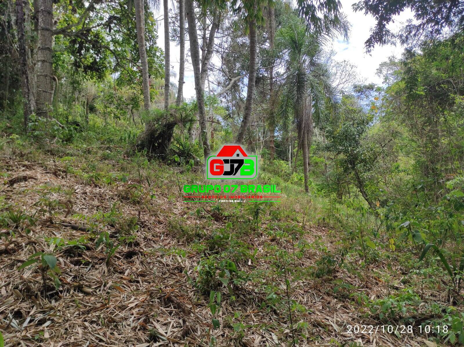 Terreno, 4 hectares - Foto 37