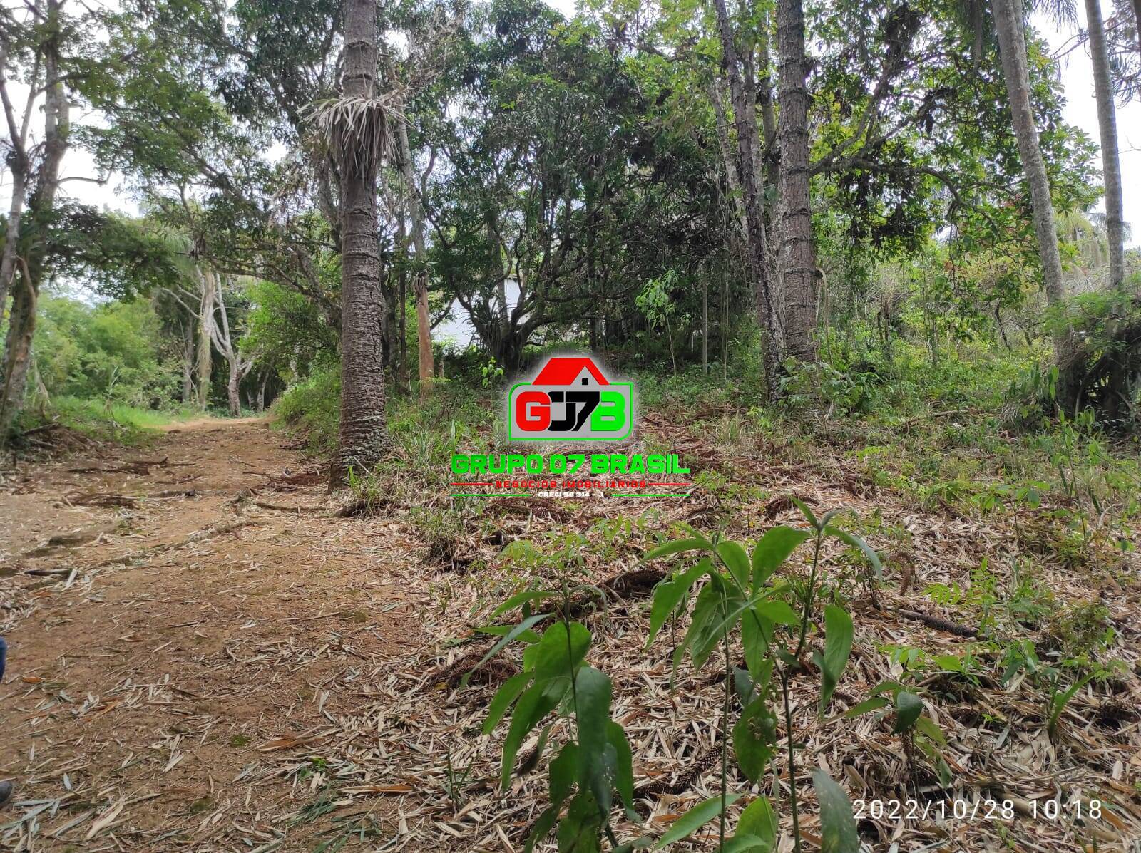 Terreno, 4 hectares - Foto 38