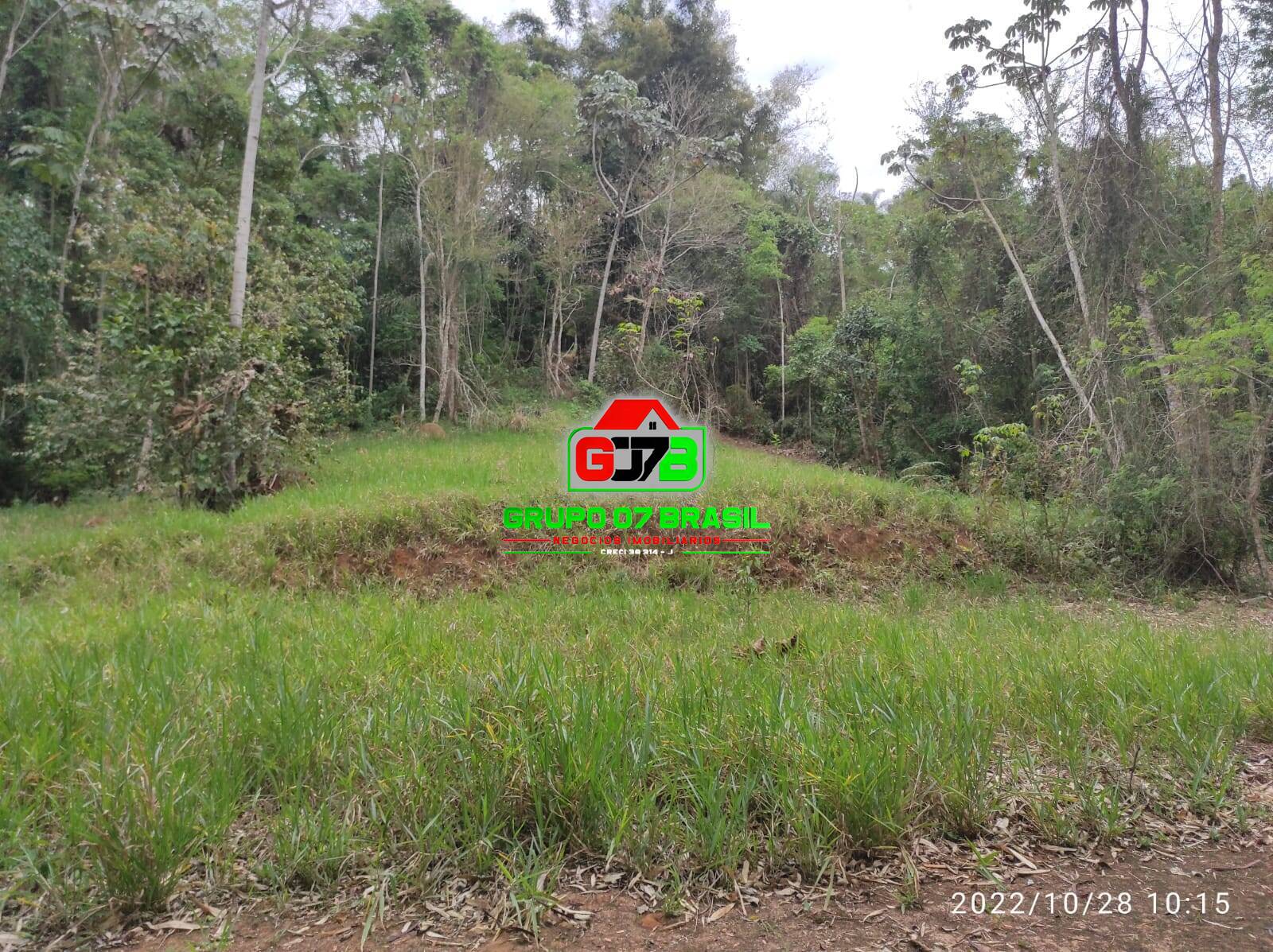 Terreno, 4 hectares - Foto 36
