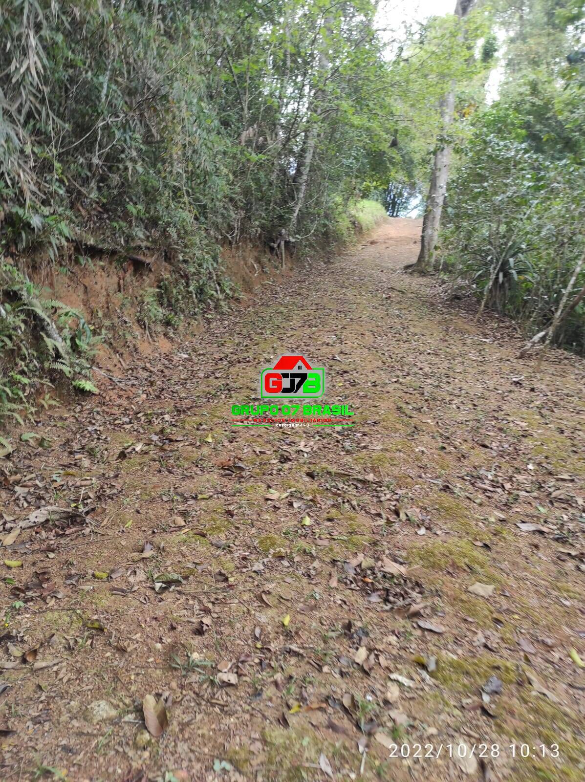 Terreno, 4 hectares - Foto 42