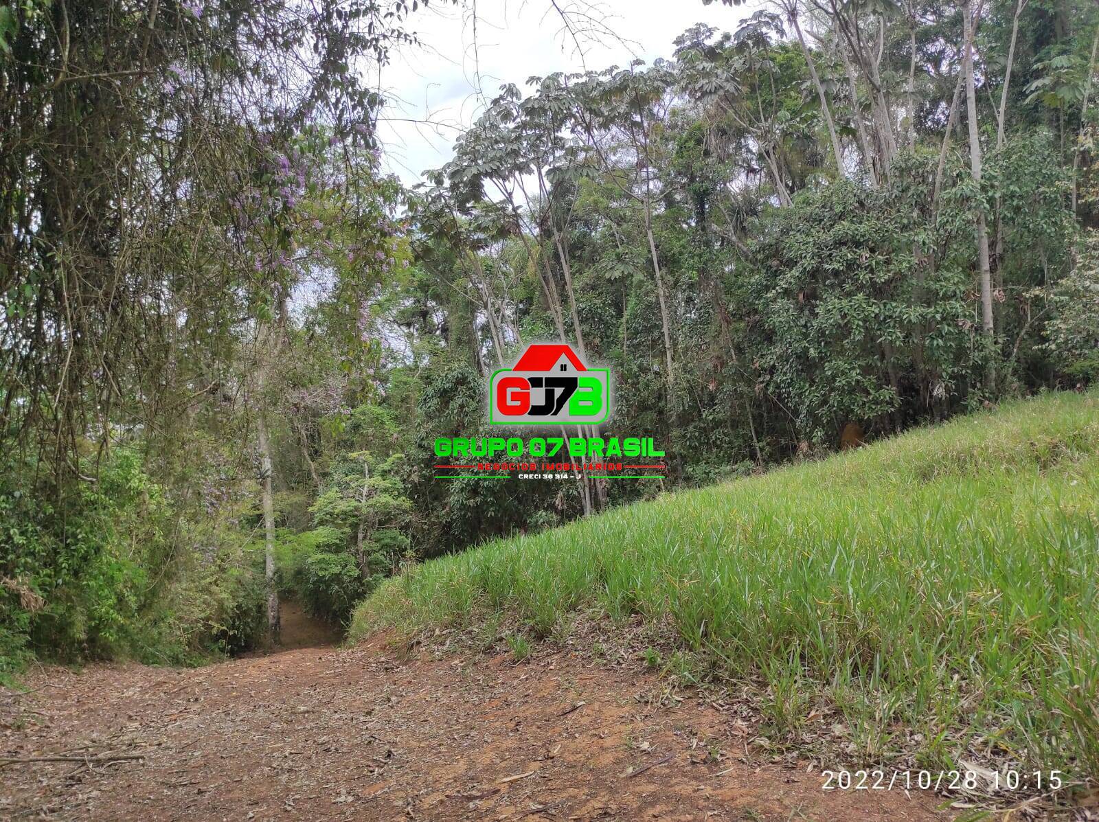 Terreno, 4 hectares - Foto 41