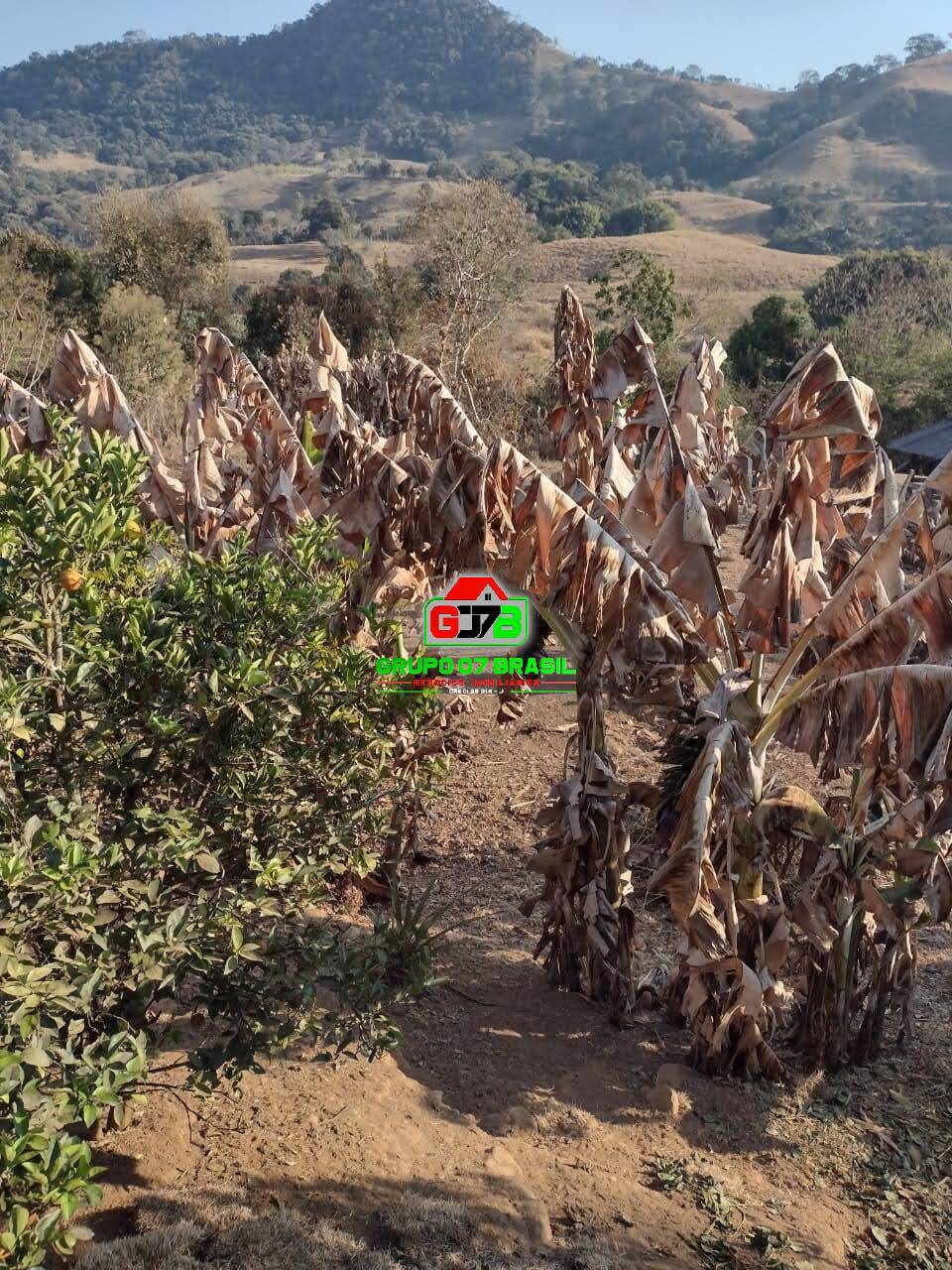 Terreno - Foto 10