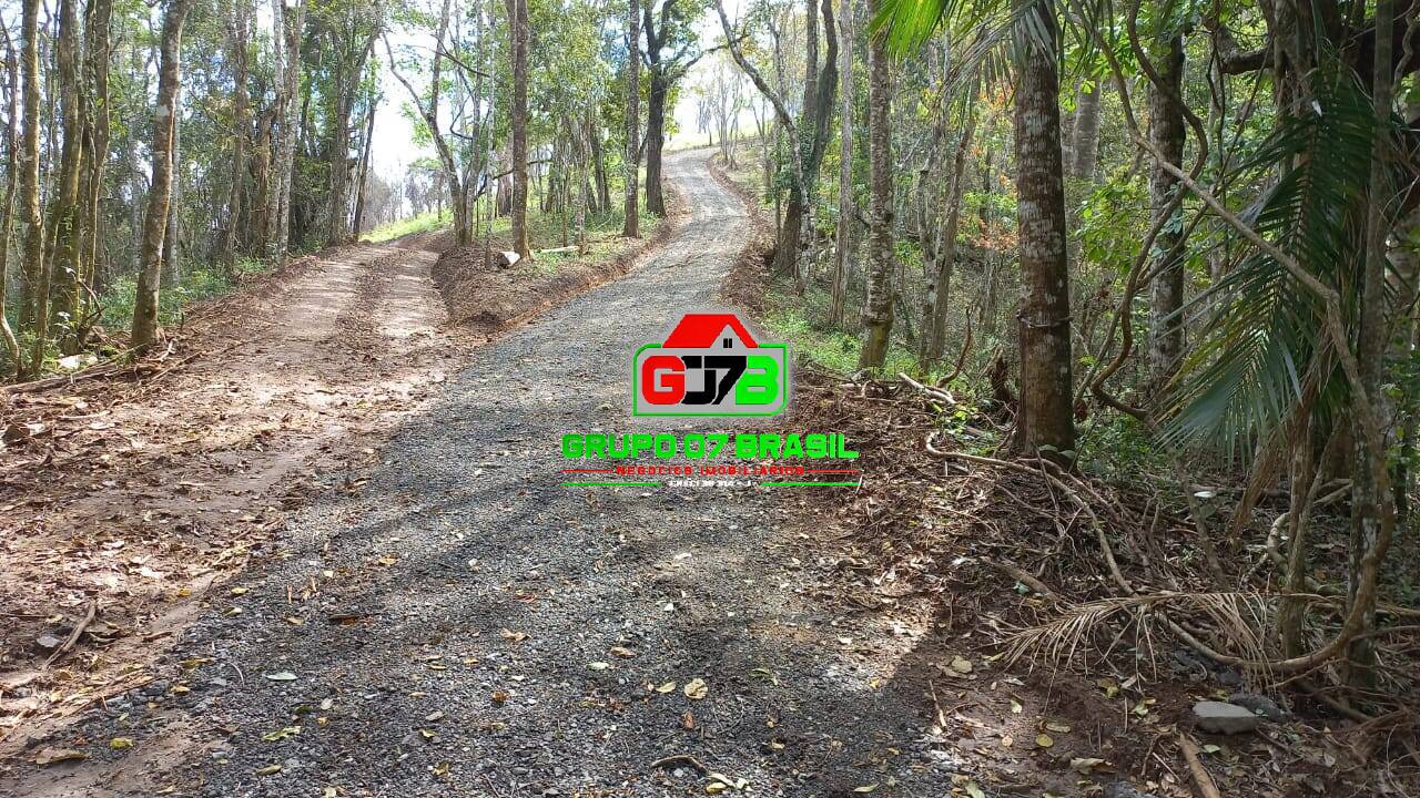 Terreno, 3 hectares - Foto 7