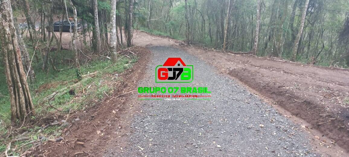 Terreno, 3 hectares - Foto 6
