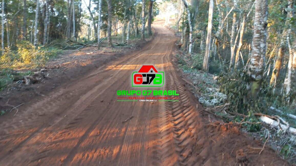 Terreno à venda, 20000m² - Foto 3