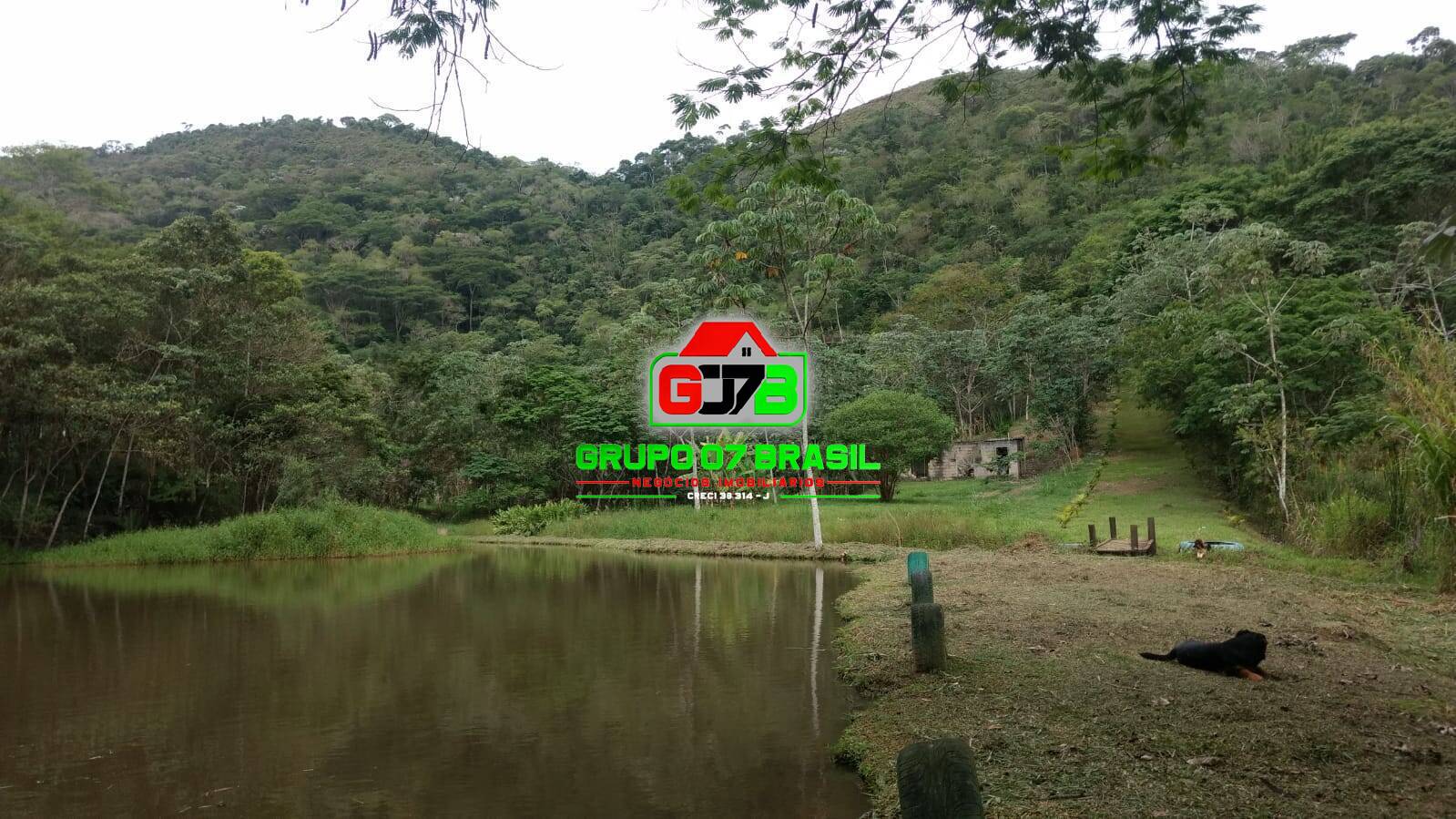 Sítio à venda com 4 quartos, 740m² - Foto 10