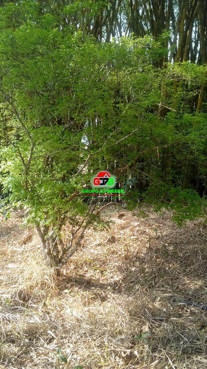 Terreno - Foto 20