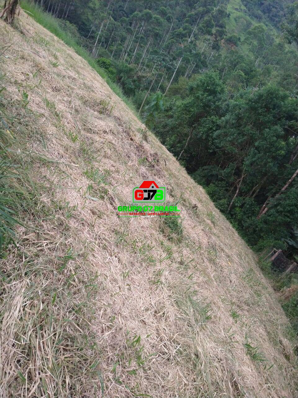 Terreno, 9000 m² - Foto 4