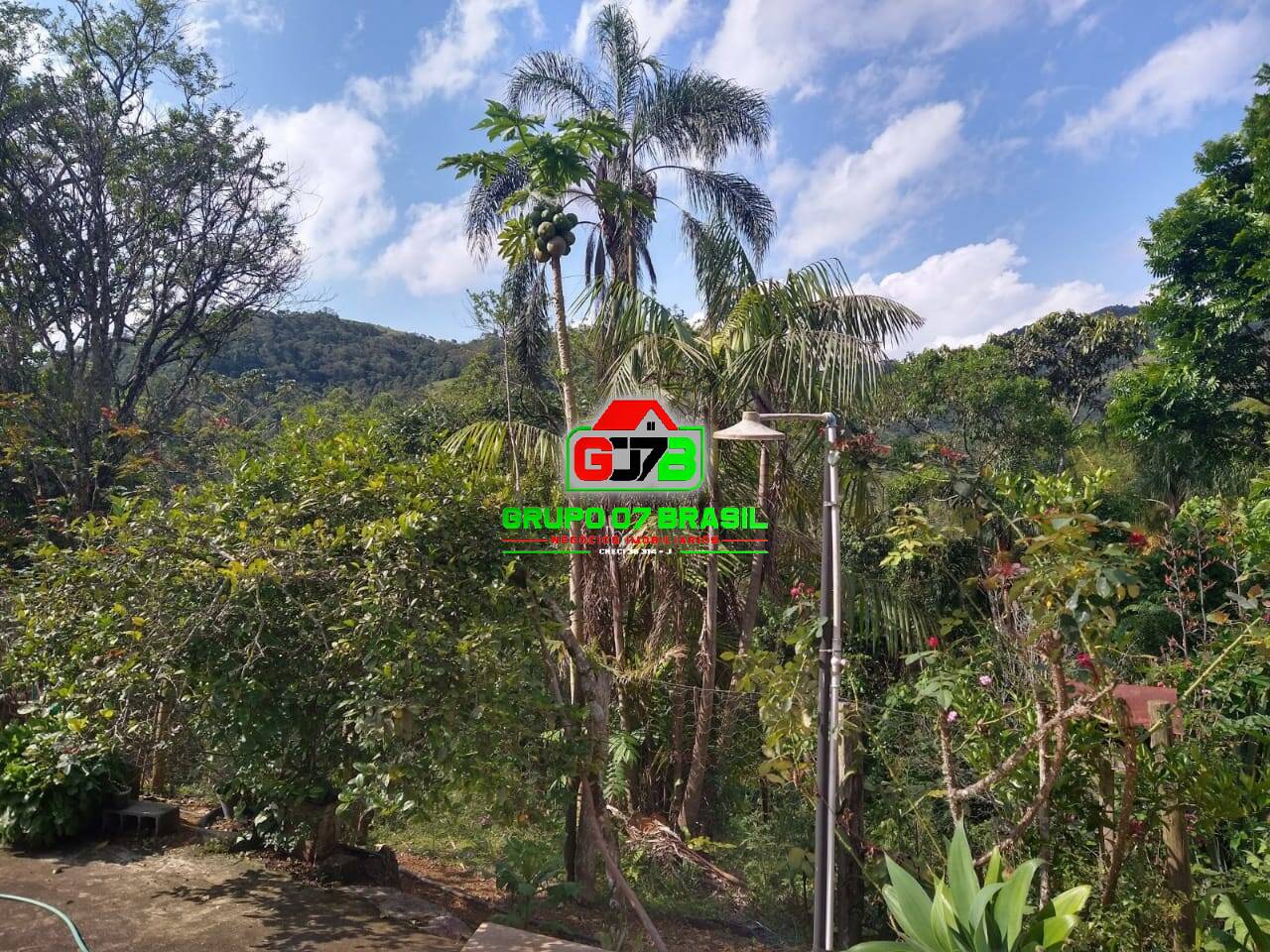 Terreno, 9000 m² - Foto 6