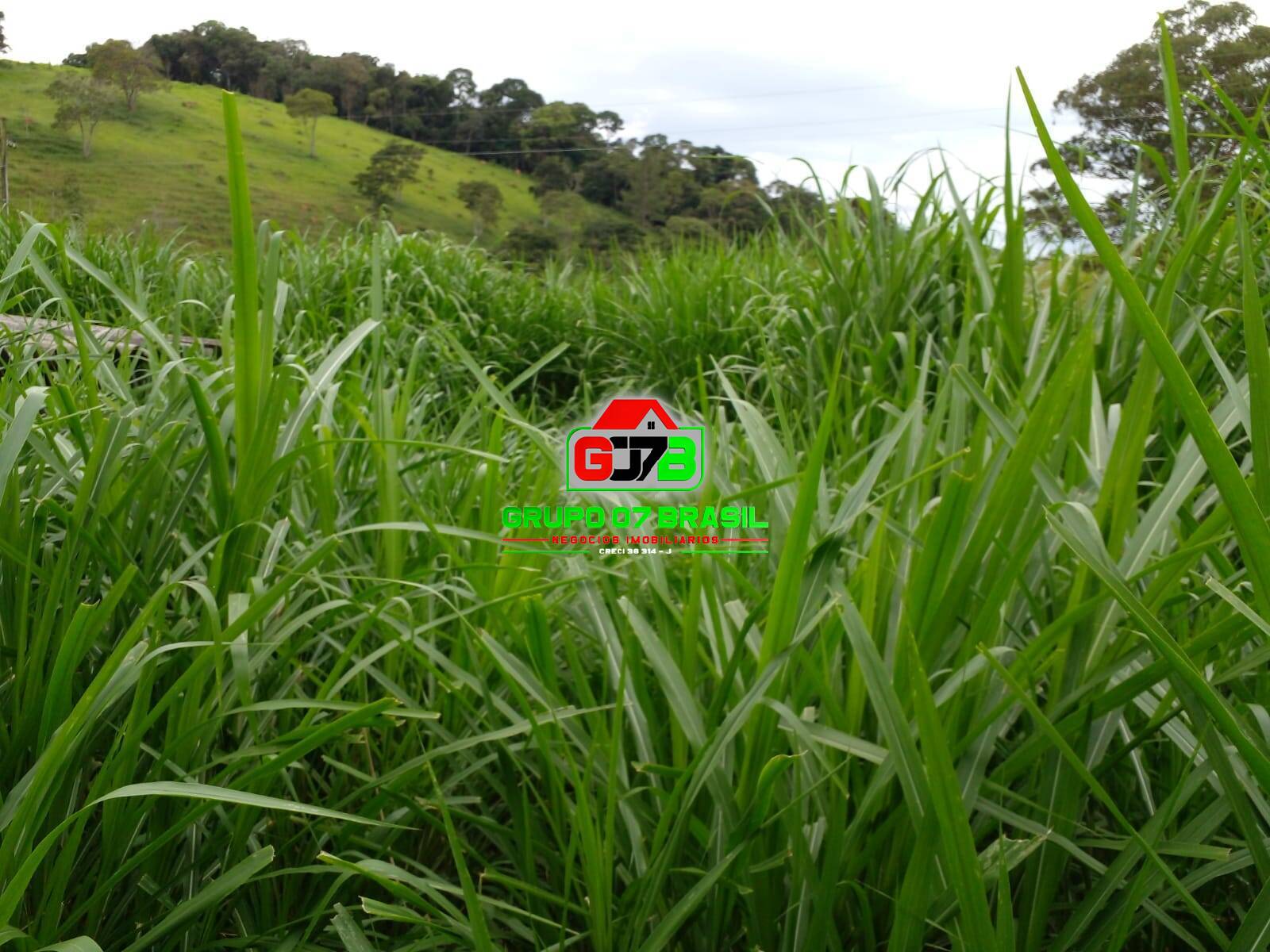 Terreno, 14 m² - Foto 9
