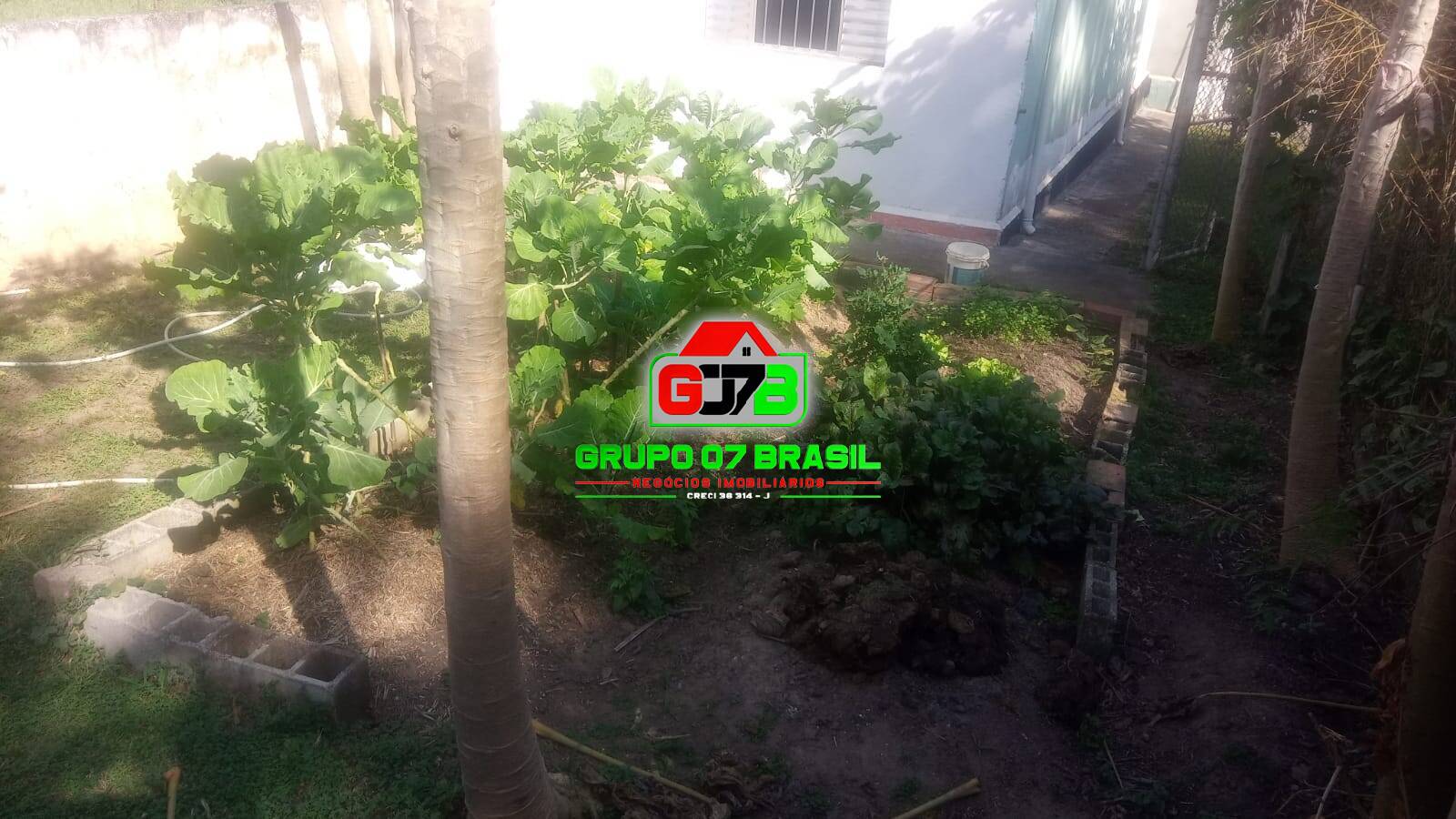 Terreno, 2600 m² - Foto 6