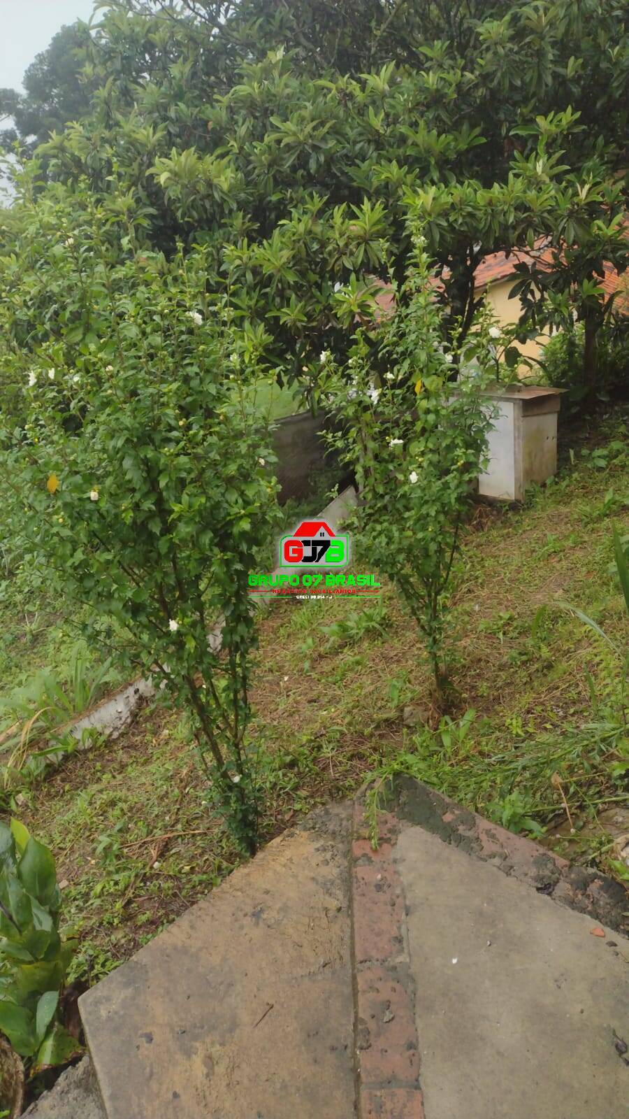 Terreno à venda com 2 quartos, 1700m² - Foto 4