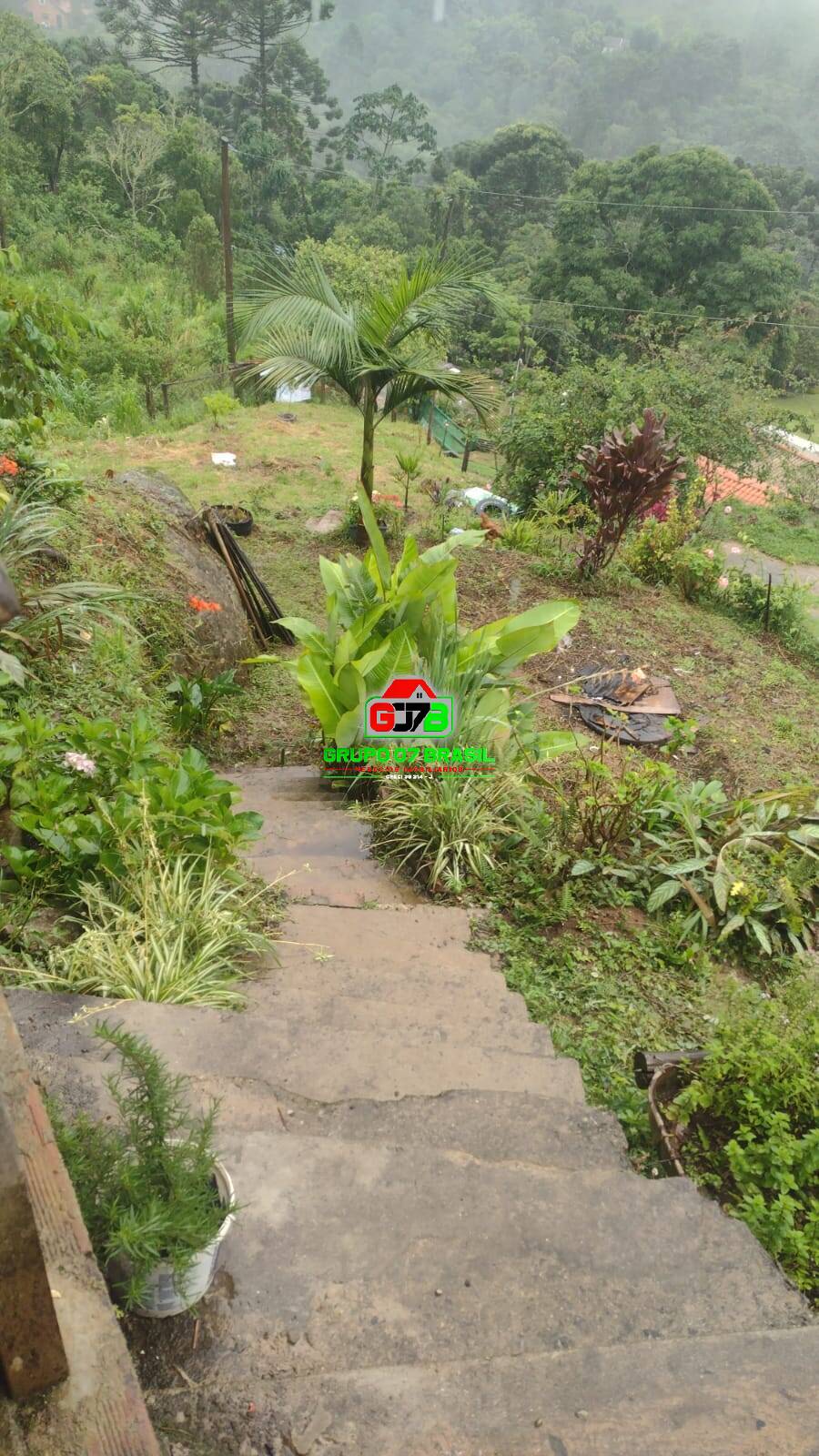Terreno à venda com 2 quartos, 1700m² - Foto 5