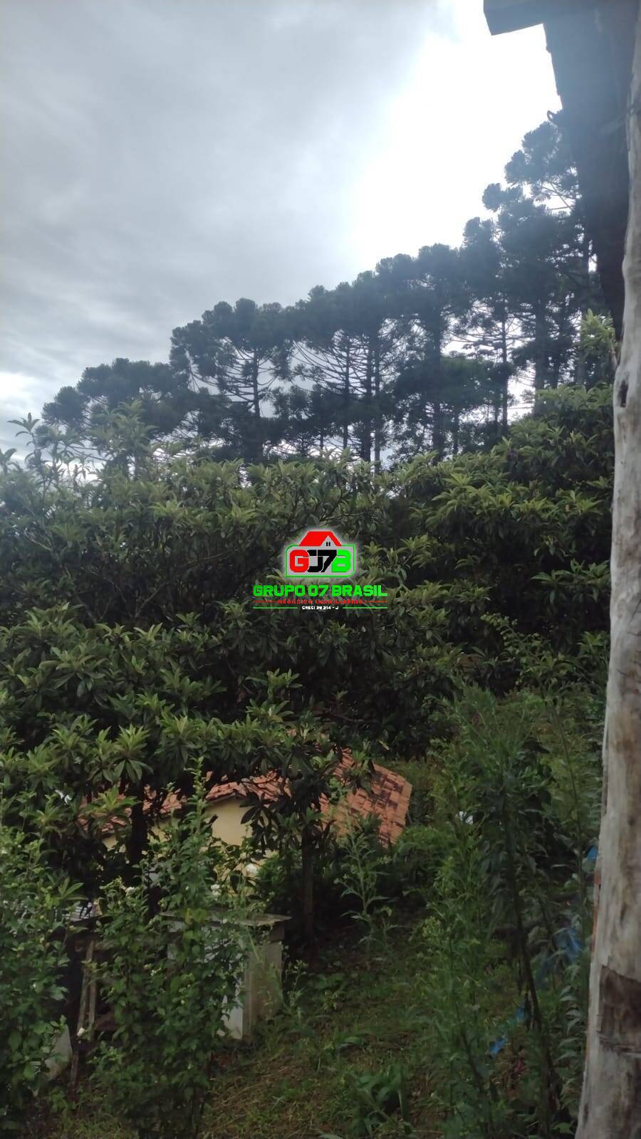 Terreno à venda com 2 quartos, 1700m² - Foto 22
