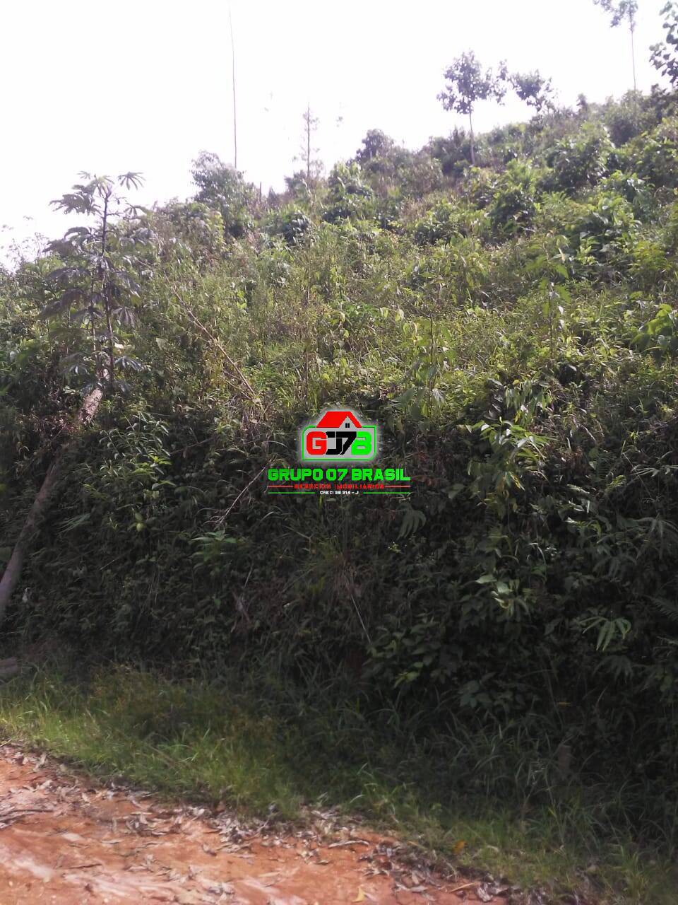 Chácara, 1 quarto, 2 hectares - Foto 10