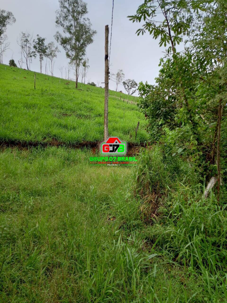 Terreno à venda, 7000m² - Foto 5