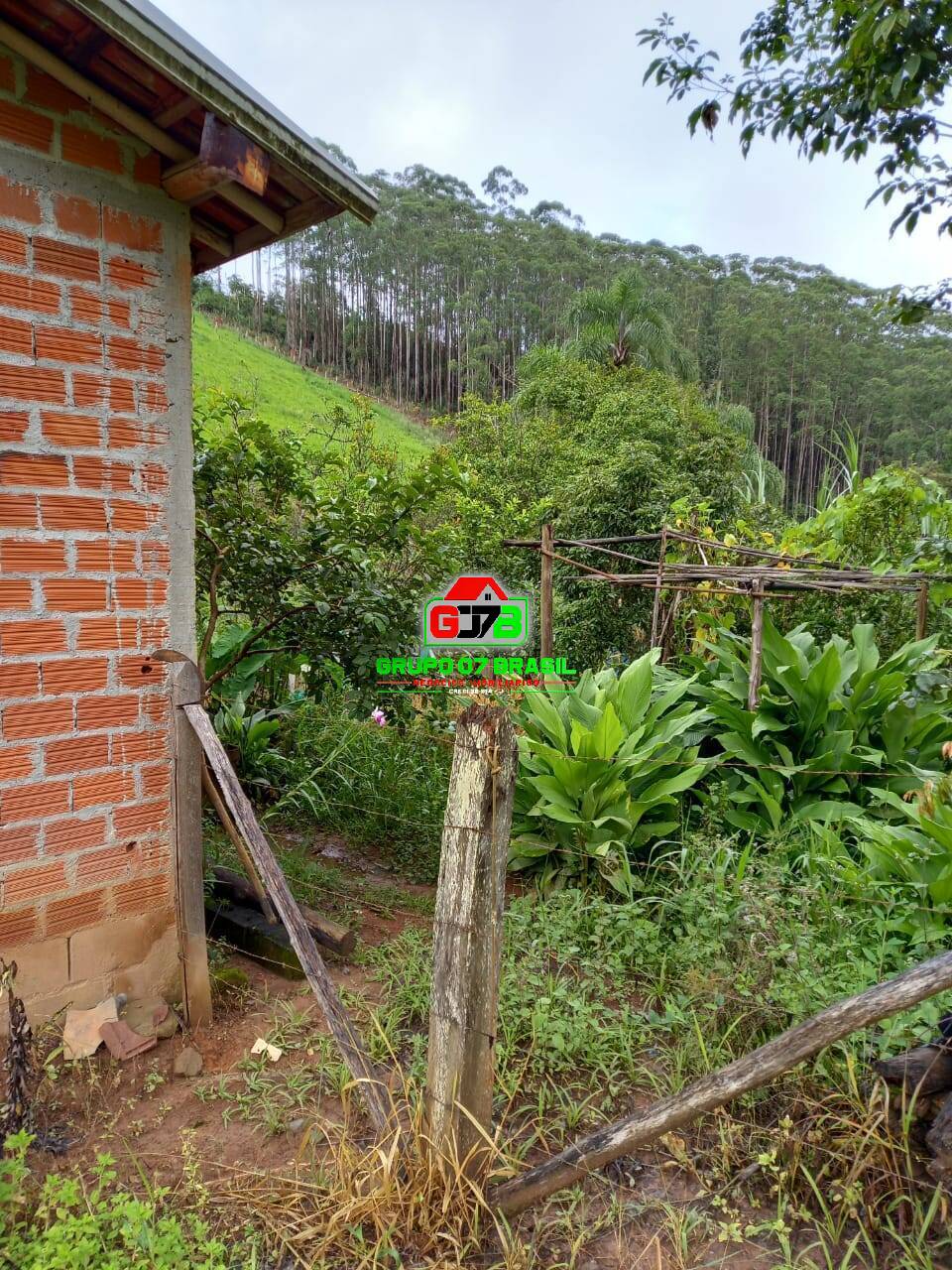 Terreno à venda, 7000m² - Foto 8