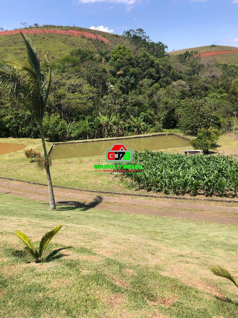 Sítio, 5 quartos, 2 hectares - Foto 8