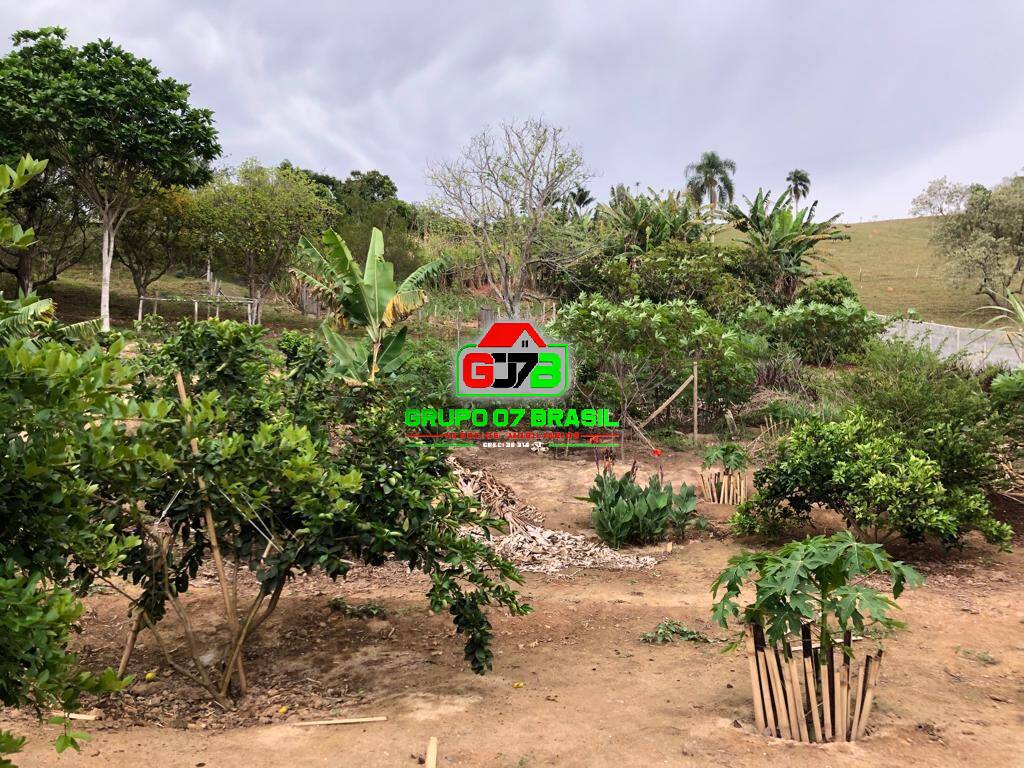 Sítio, 5 quartos, 2 hectares - Foto 2