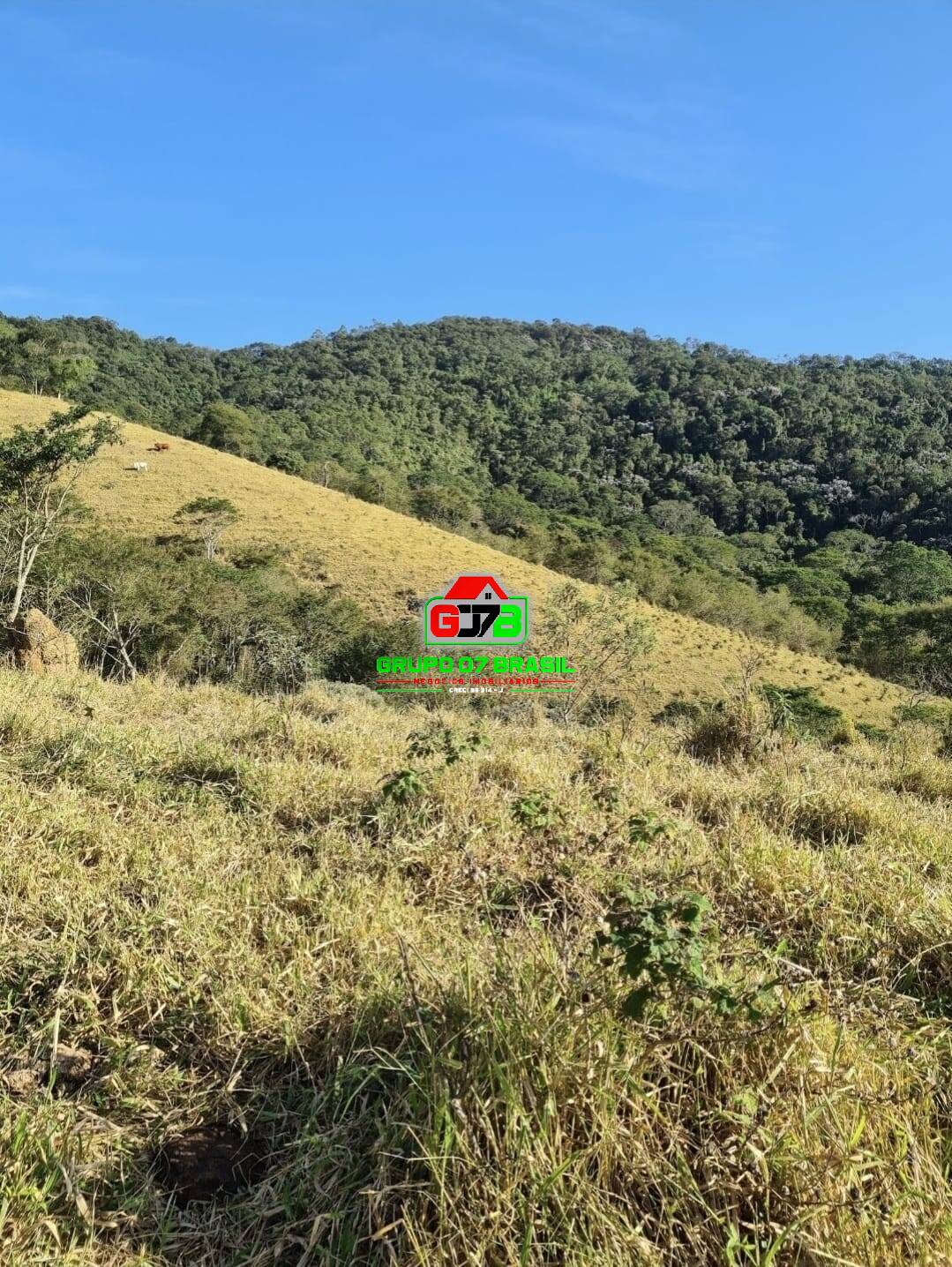 Terreno, 25 m² - Foto 1