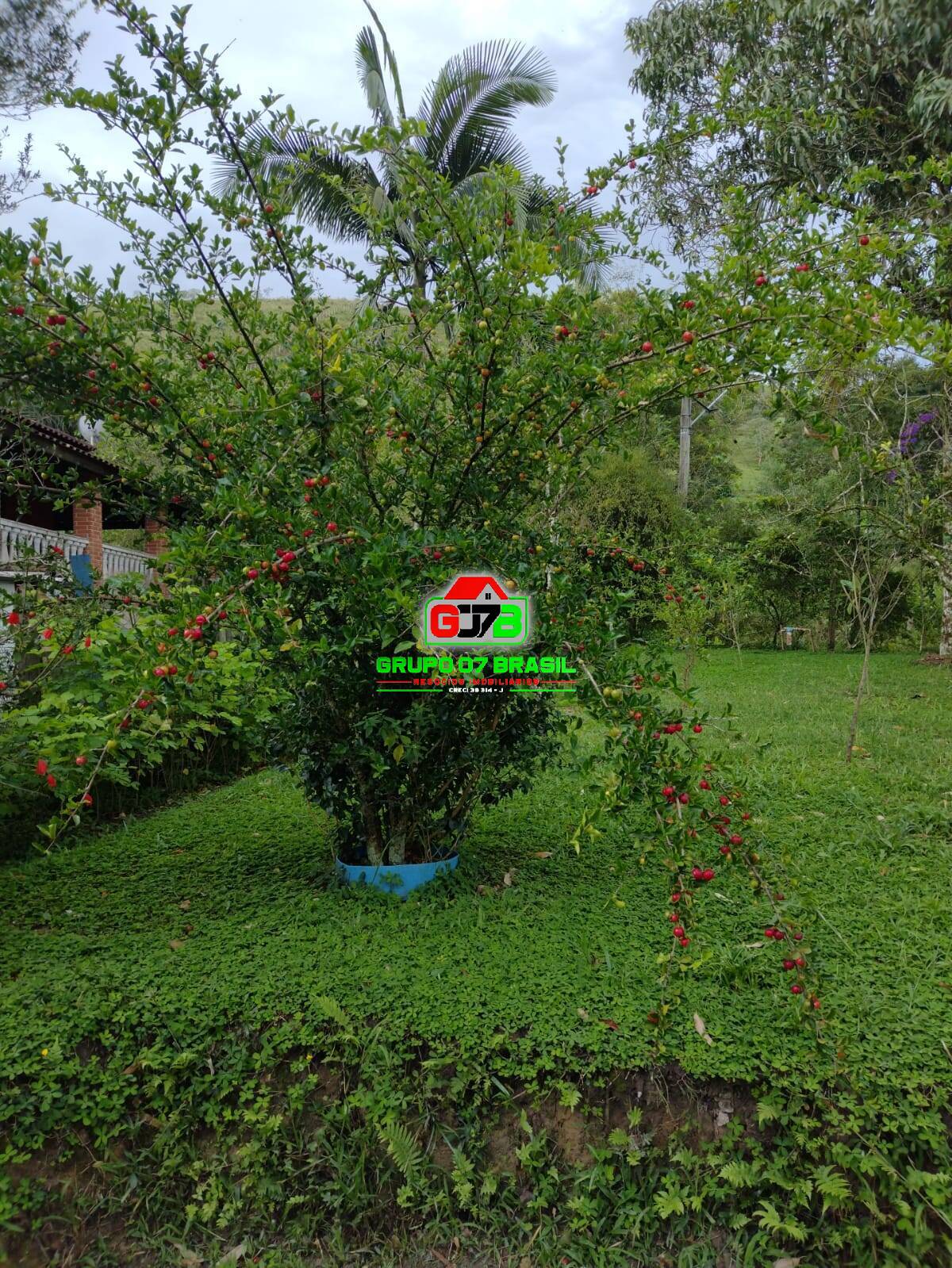 Terreno, 4600 m² - Foto 5