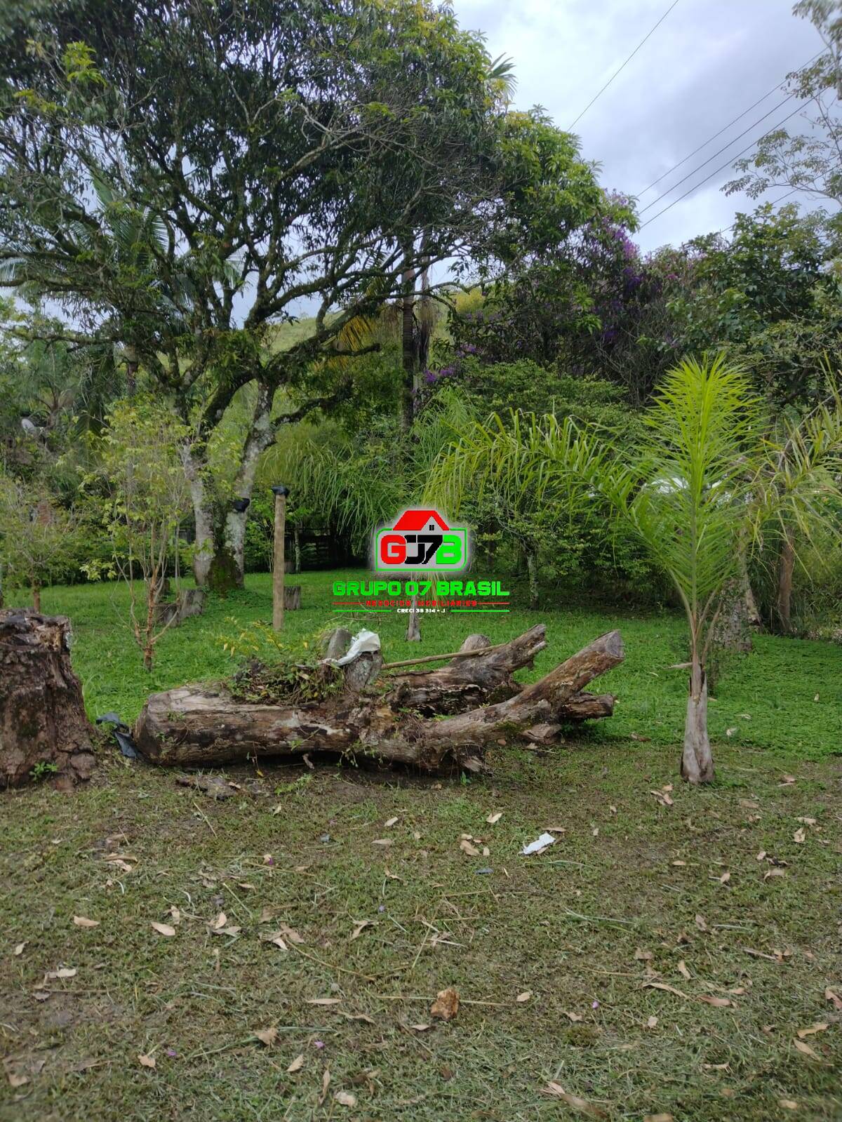 Terreno, 4600 m² - Foto 7