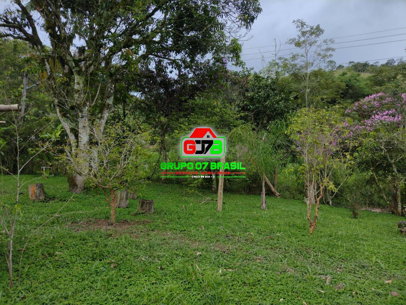 Terreno, 4600 m² - Foto 9