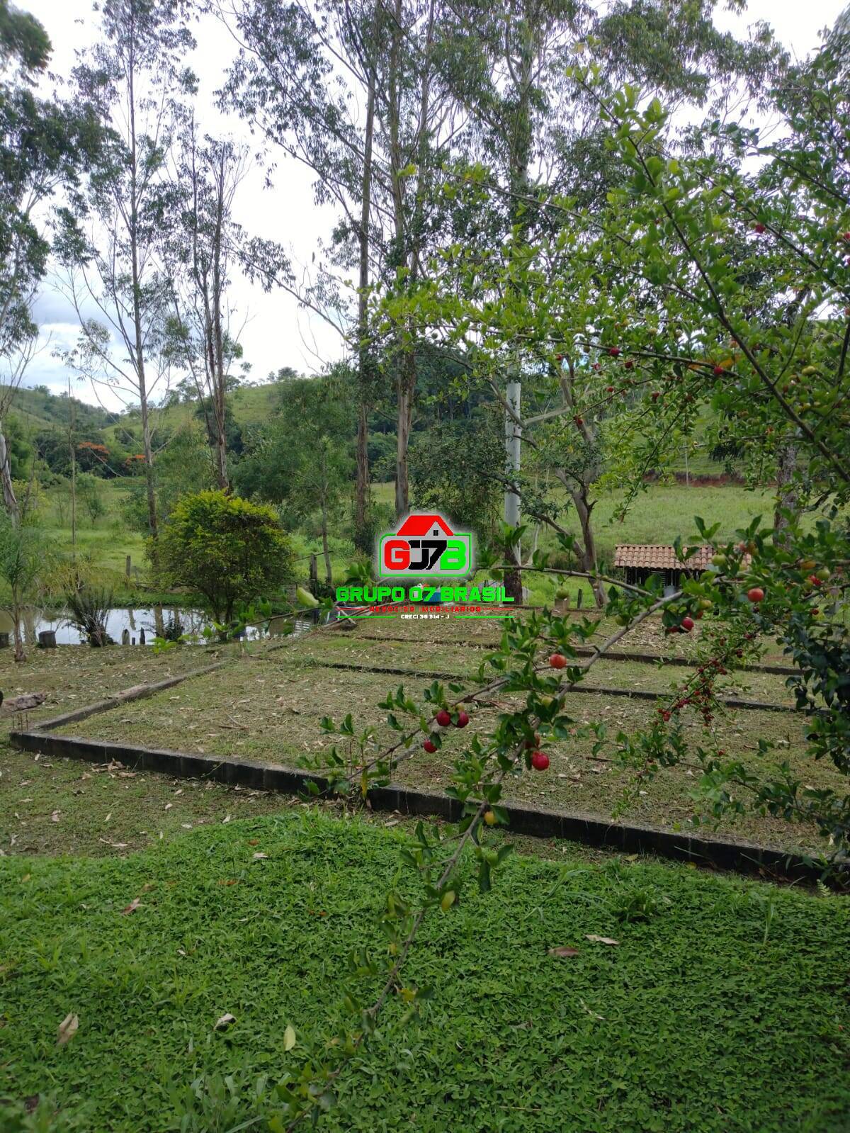 Terreno, 4600 m² - Foto 15