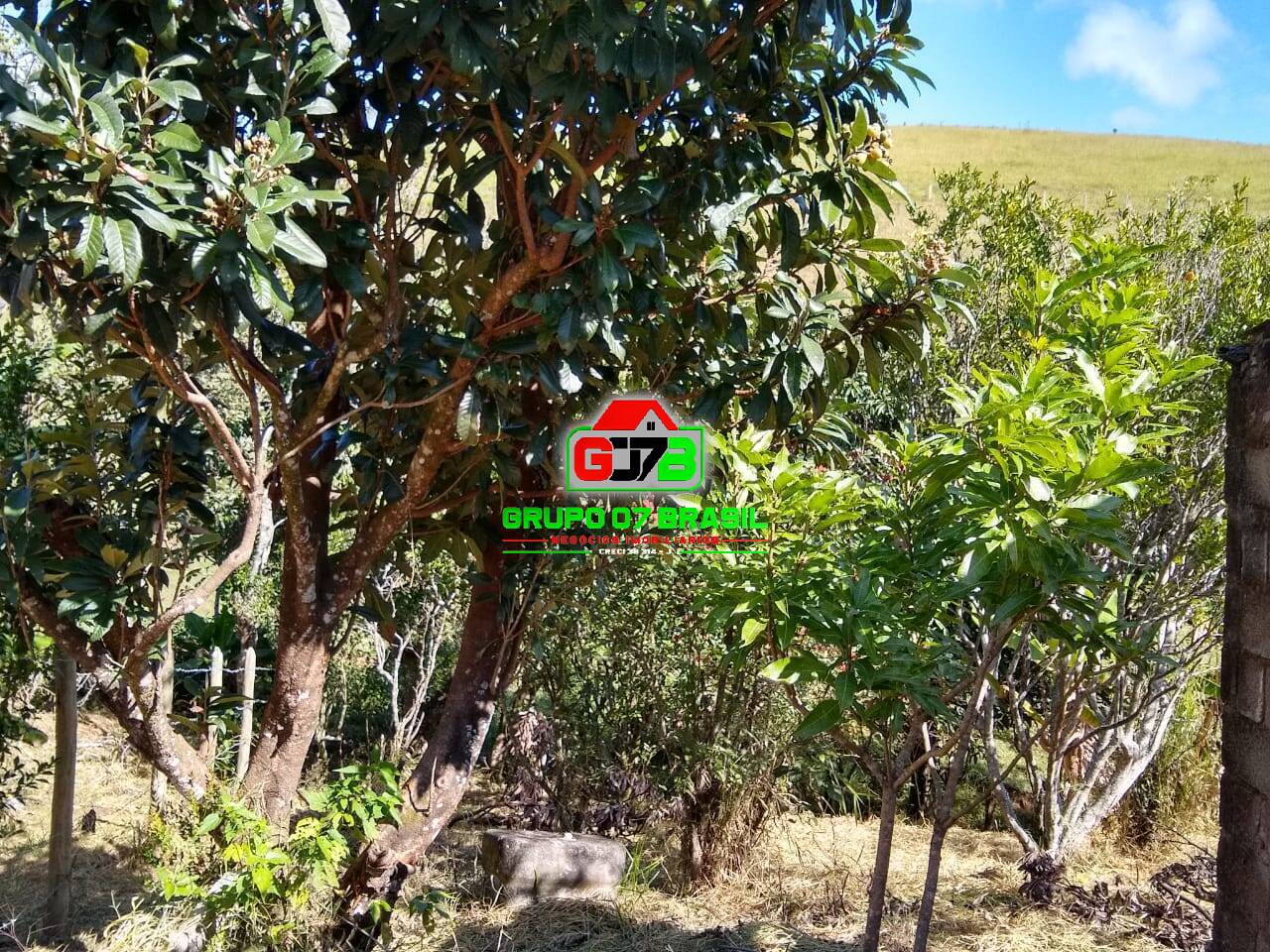Terreno, 1800 m² - Foto 4