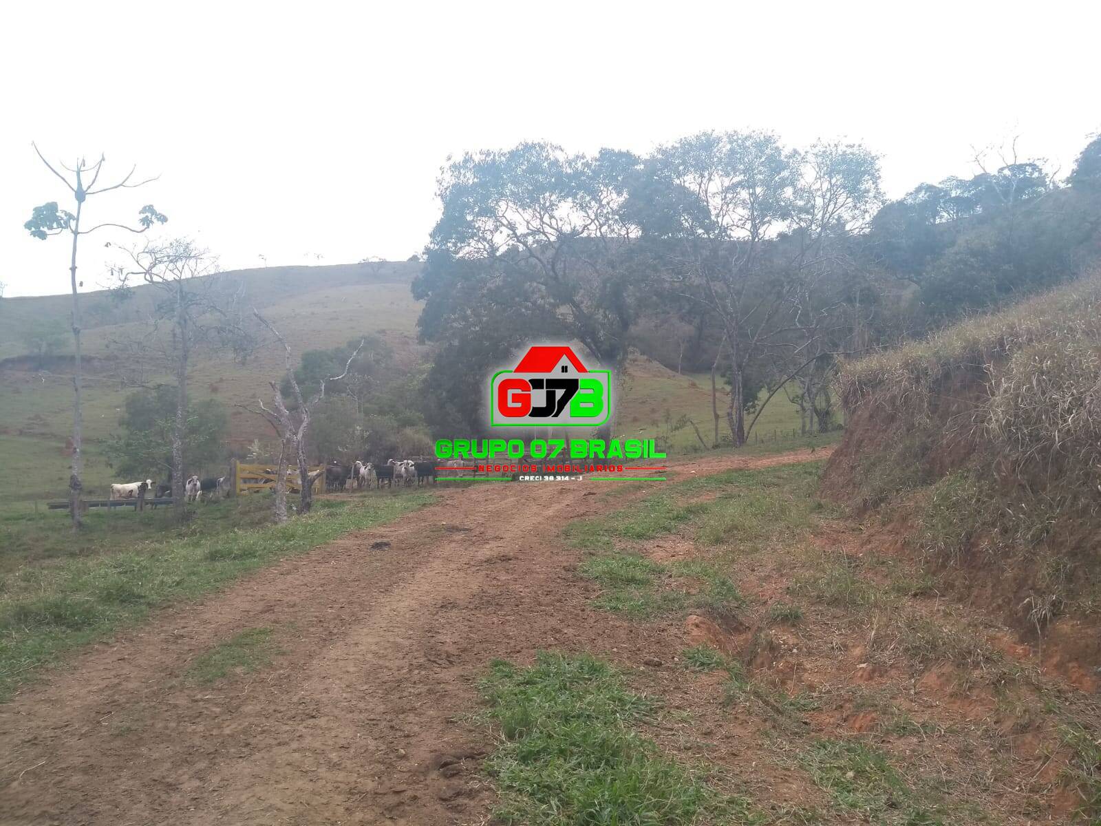 Terreno, 13 m² - Foto 11