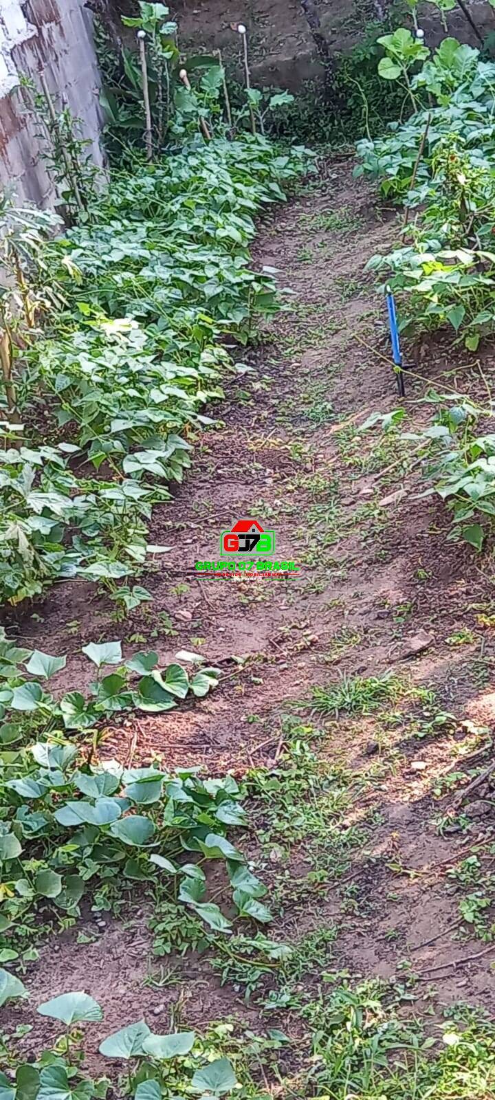 Chácara, 2 quartos, 2750 m² - Foto 5