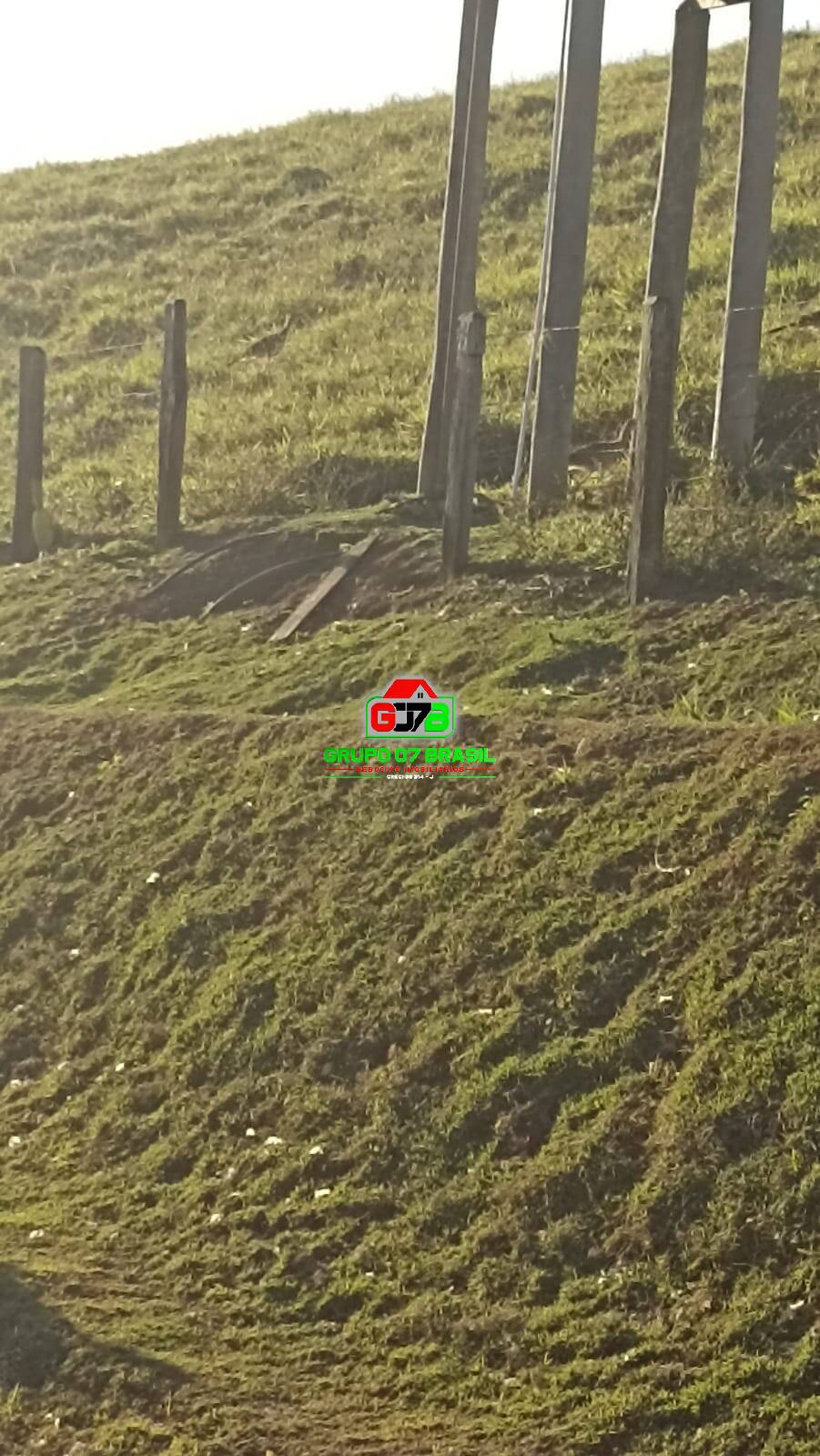 Terreno, 3 hectares - Foto 6