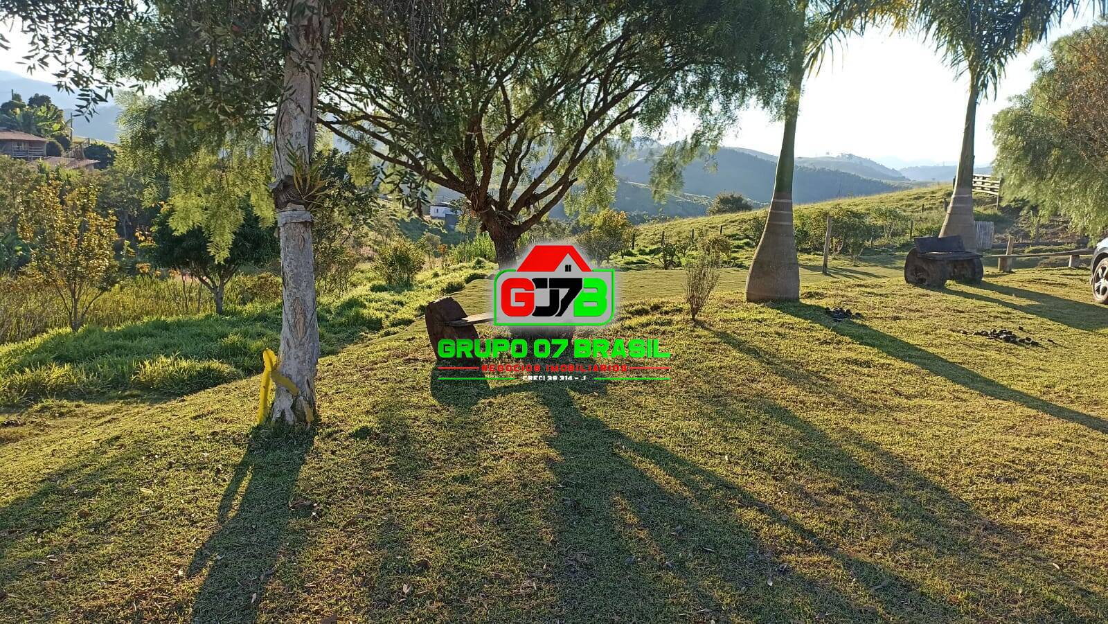 Terreno, 3 hectares - Foto 7